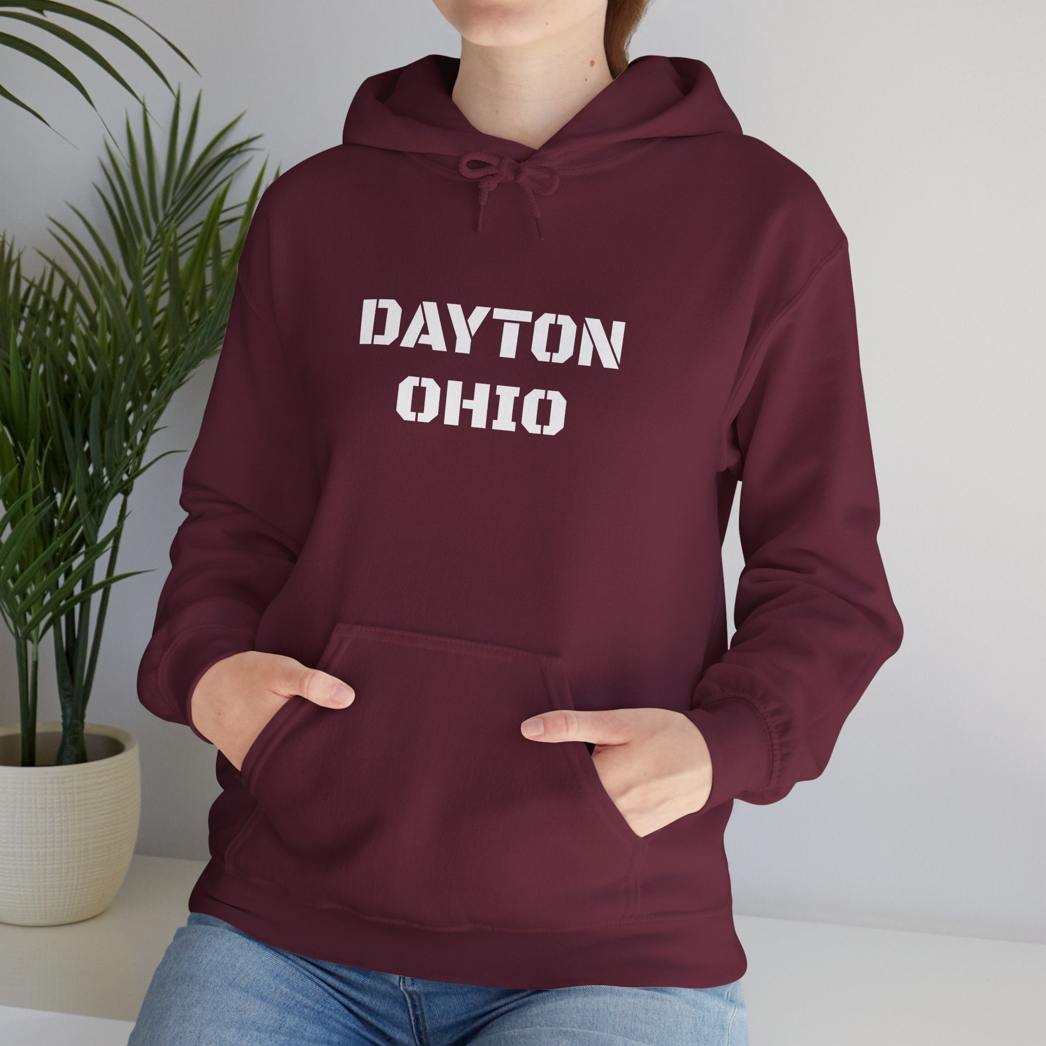 Viringee Dayton Ohio Unisex Hoodie