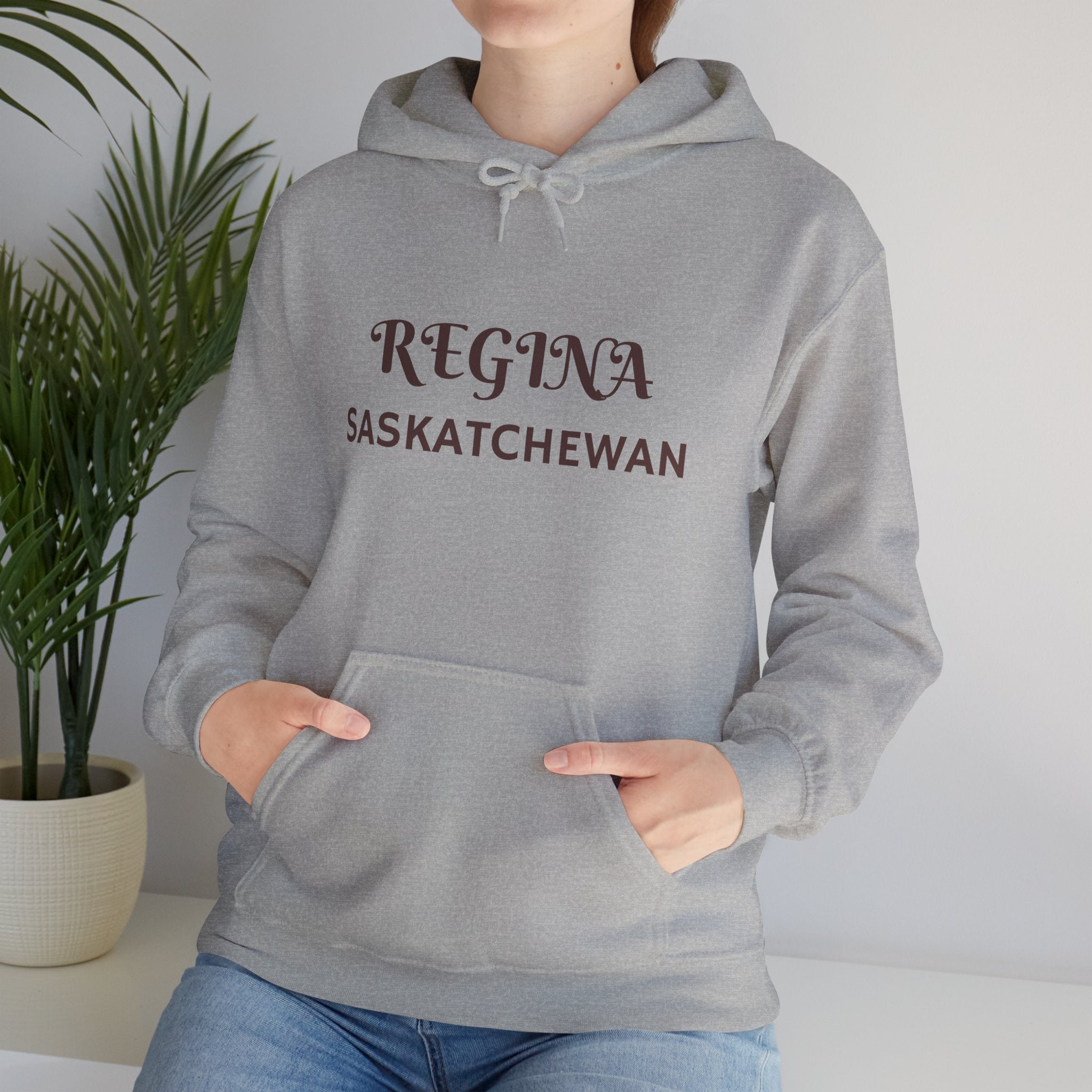Viringee Regina Saskatchewan Unisex Heavy Blend Hoodie