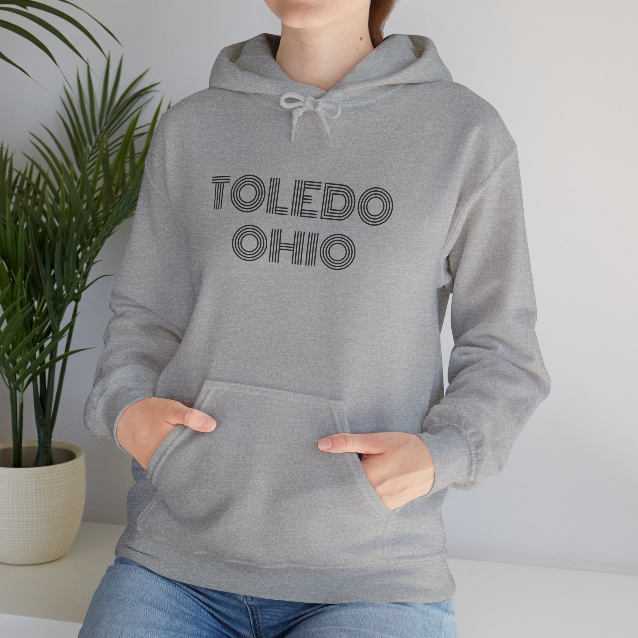 Viringee Toledo Ohio hoodie in classic fit with kangaroo pocket and drawstring hood