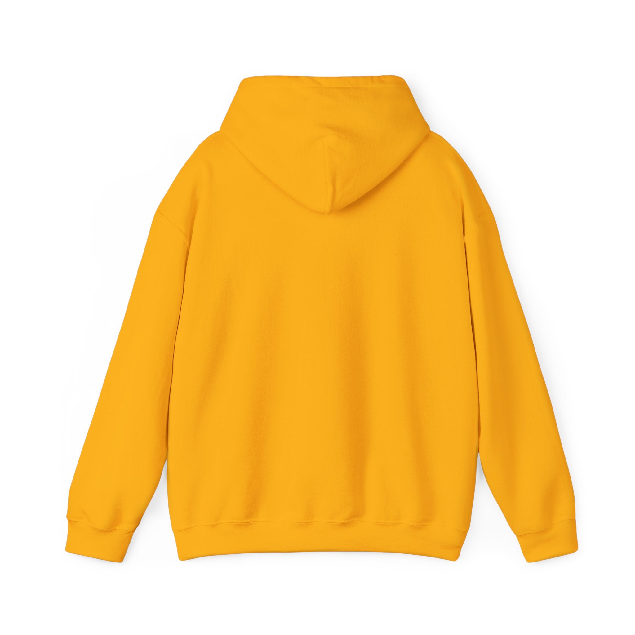 Viringee Council Bluffs Iowa Unisex Hoodie
