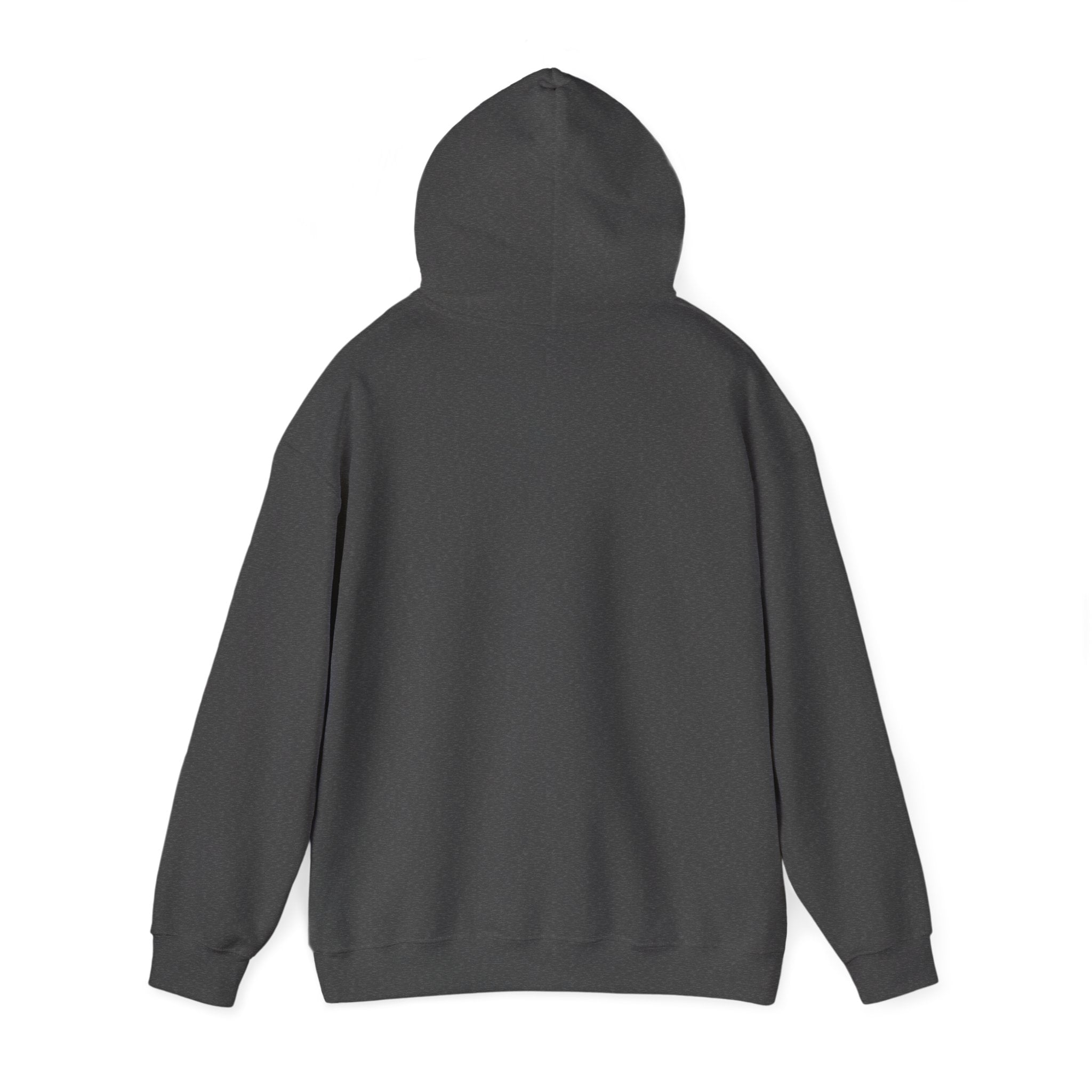 Viringee Quebec Architecture Unisex Hoodie / Hoodie Unisexe Viringee Architecture du Québec