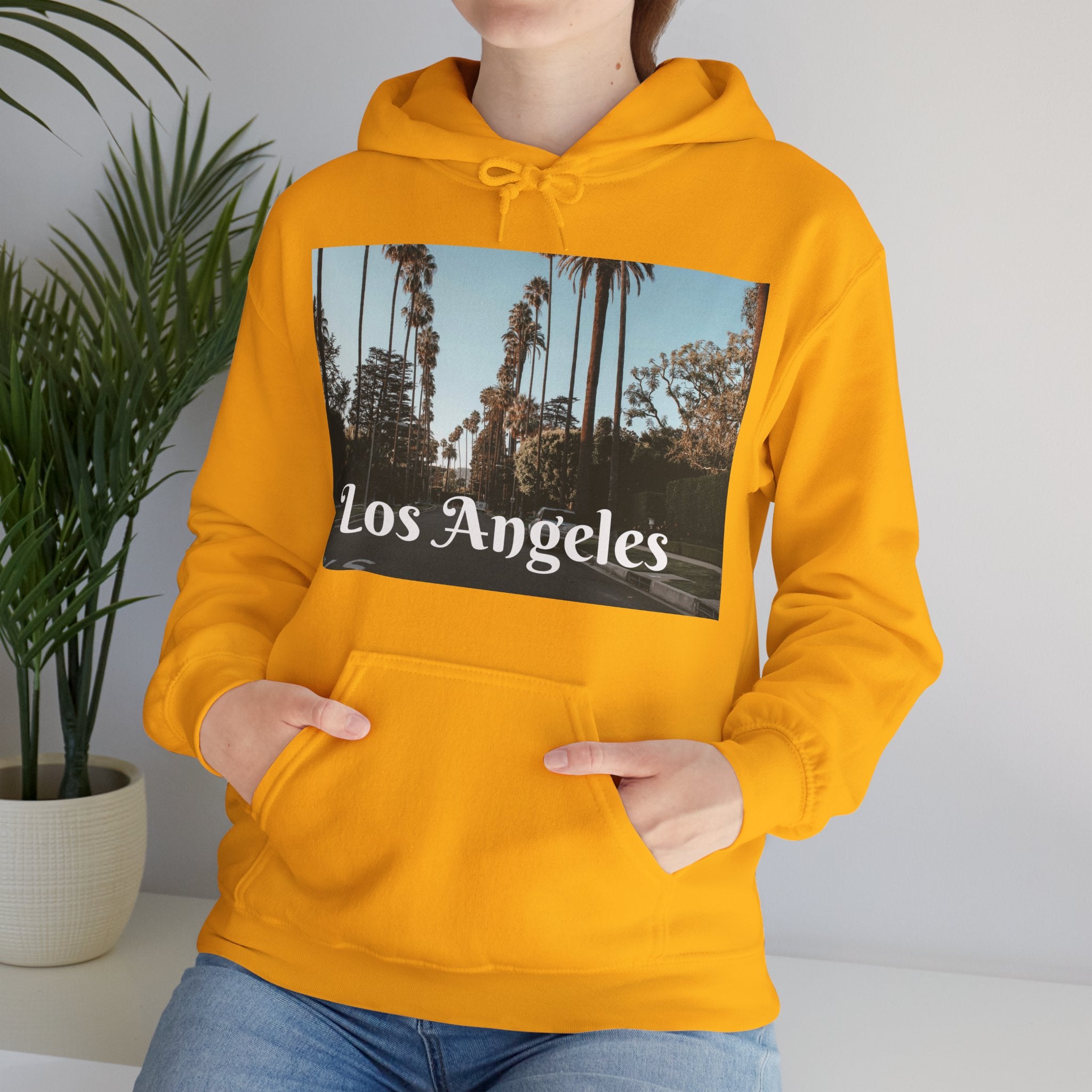 Viringee Los Angeles Urban Vibes Unisex Hoodie
