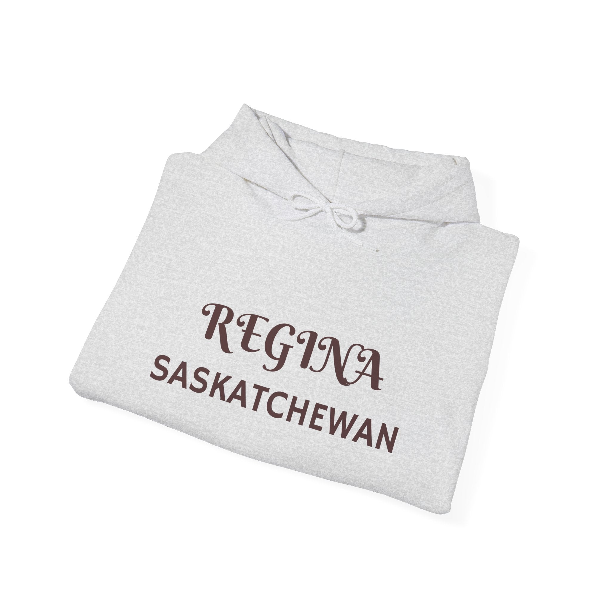 Viringee Regina Saskatchewan Unisex Heavy Blend Hoodie