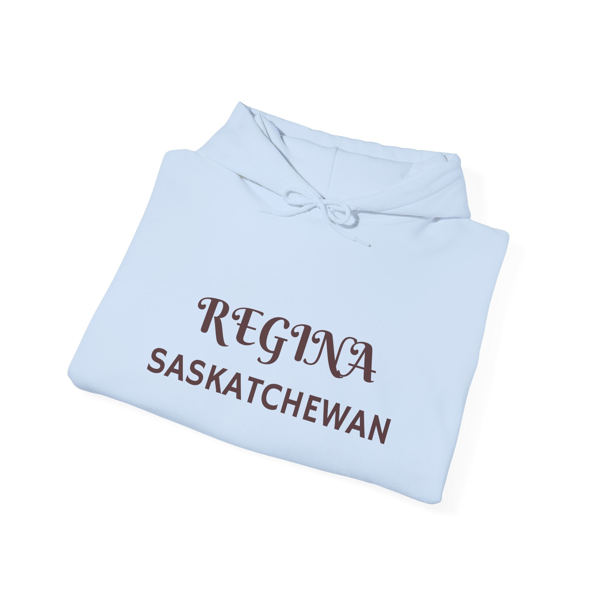 Viringee Regina Saskatchewan Unisex Heavy Blend Hoodie