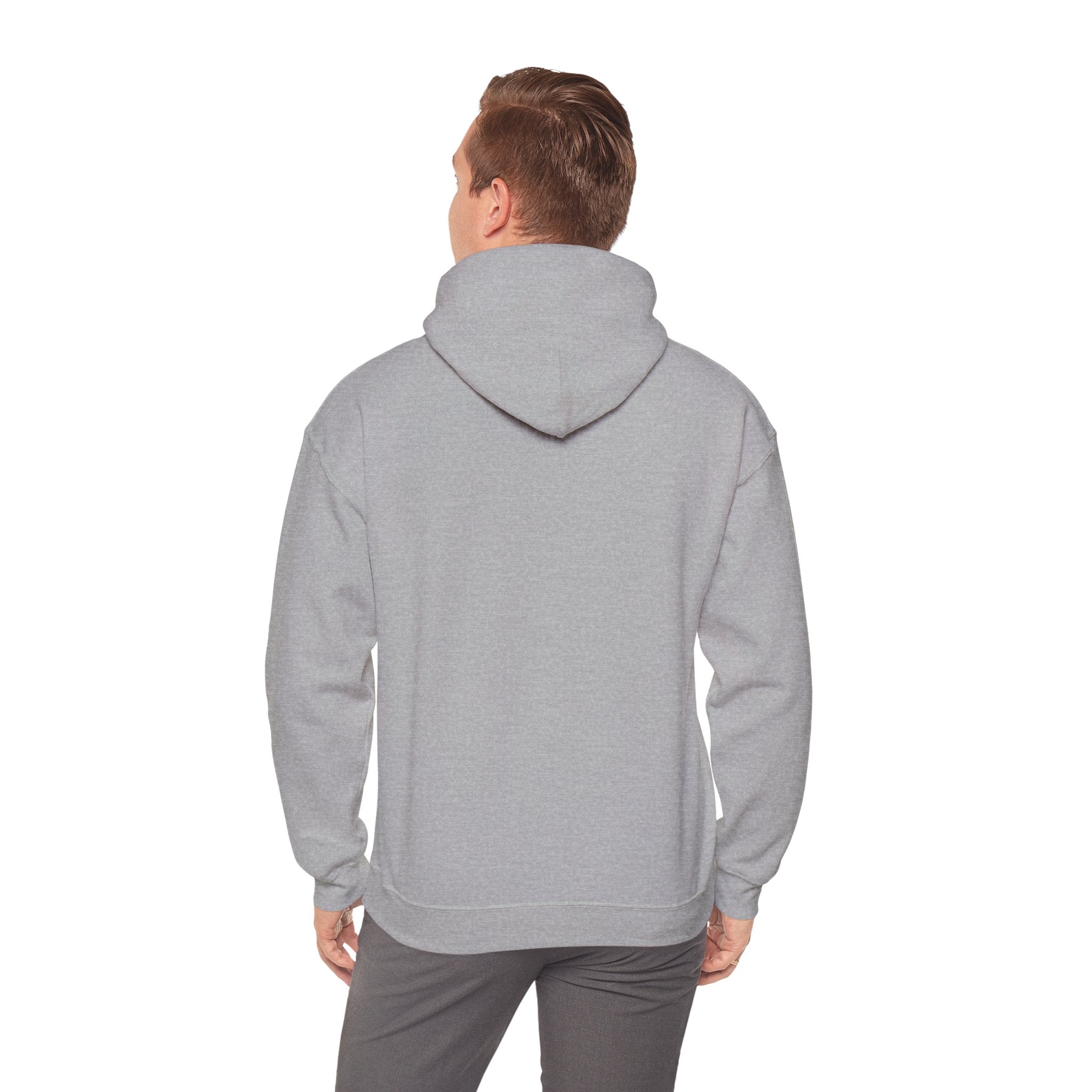 Viringee Toronto T.O. Urban Skyline Unisex Hoodie