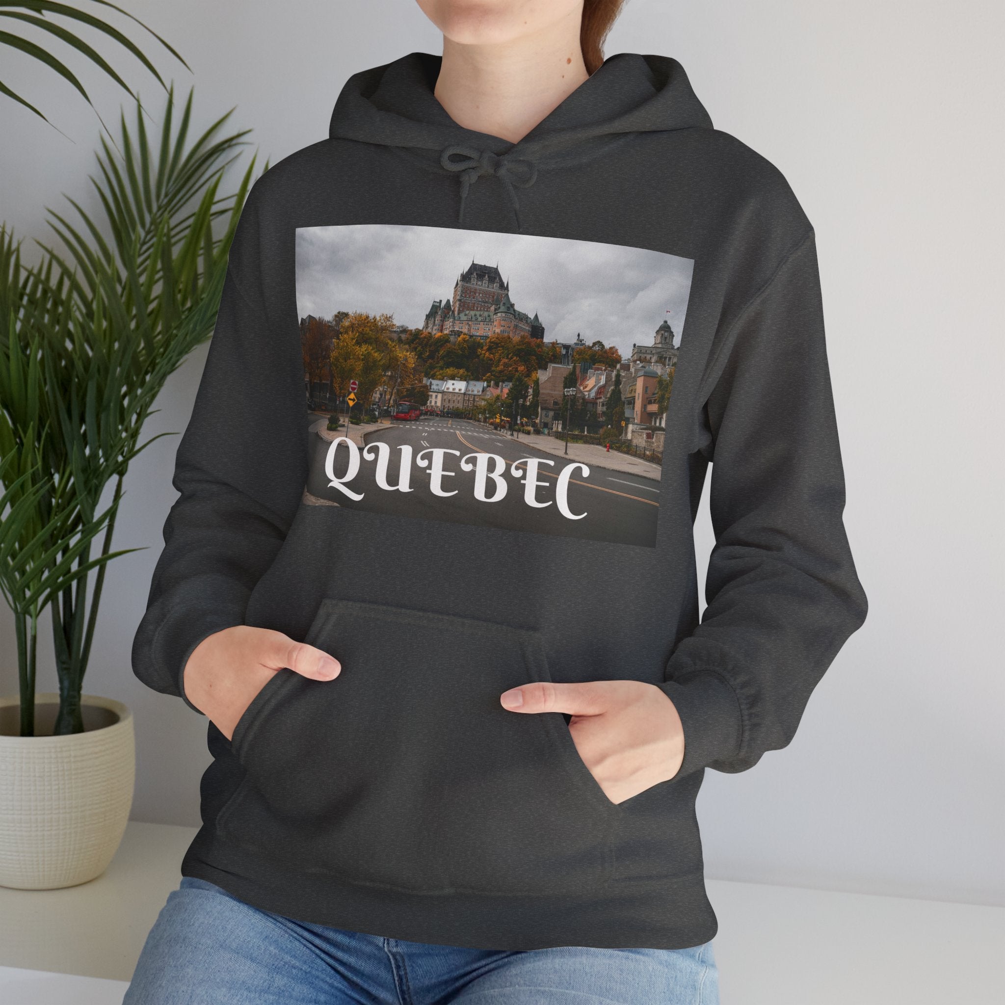 Viringee Quebec Architecture Unisex Hoodie / Hoodie Unisexe Viringee Architecture du Québec