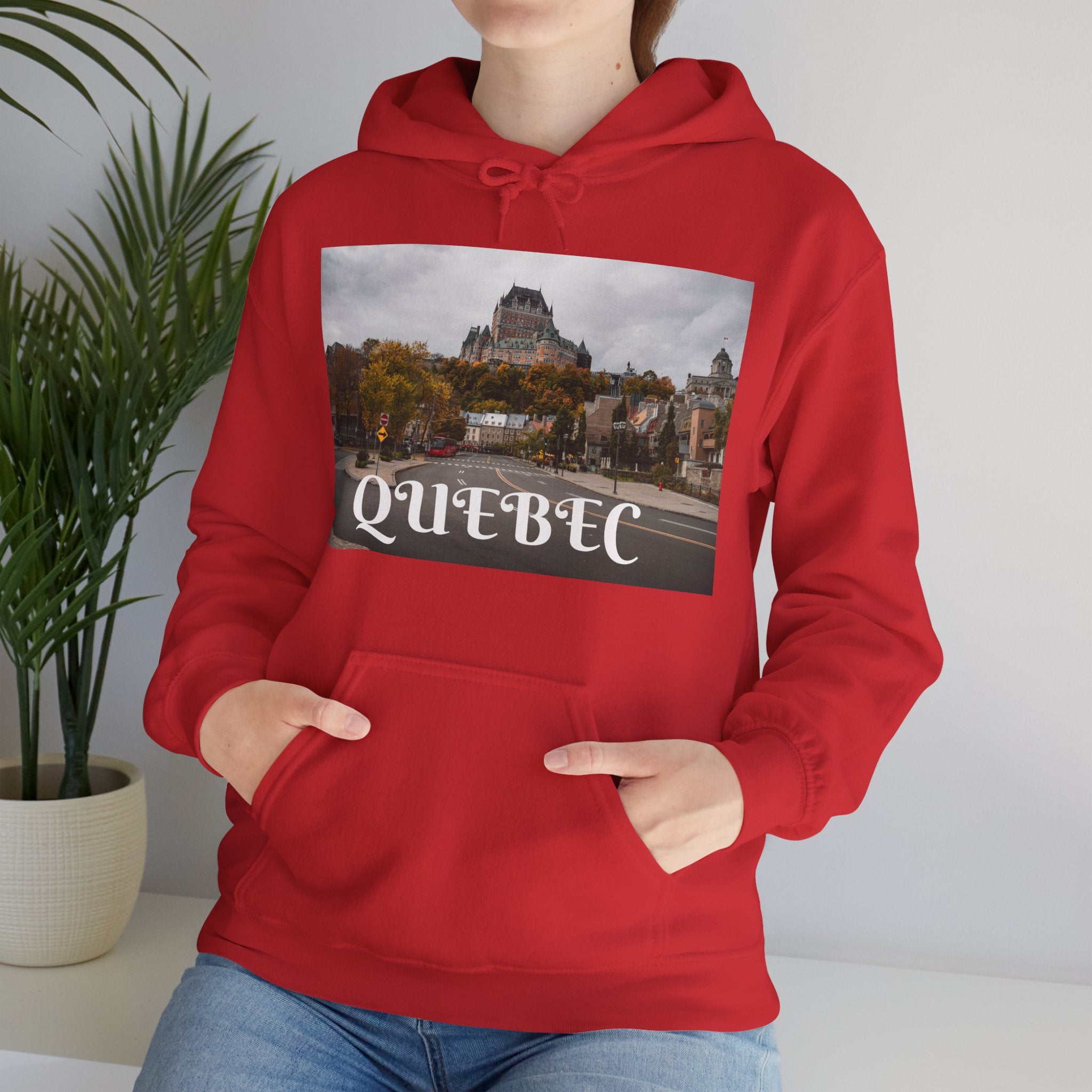 Viringee Quebec Architecture Unisex Hoodie / Hoodie Unisexe Viringee Architecture du Québec