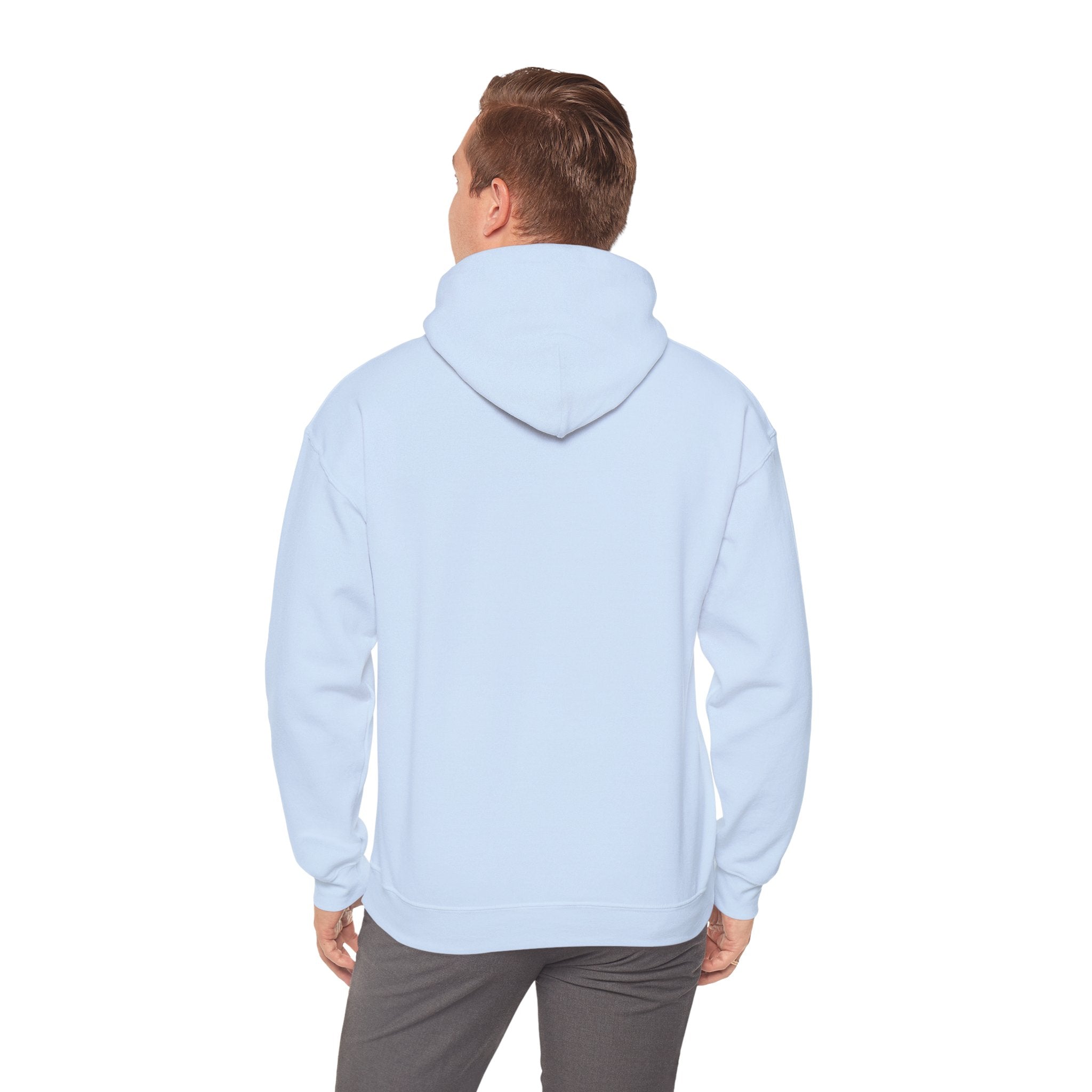 Viringee Regina Saskatchewan Unisex Heavy Blend Hoodie