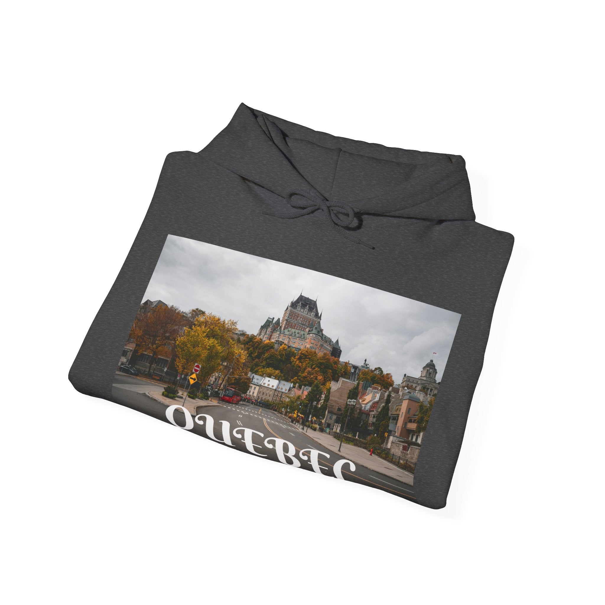 Viringee Quebec Architecture Unisex Hoodie / Hoodie Unisexe Viringee Architecture du Québec