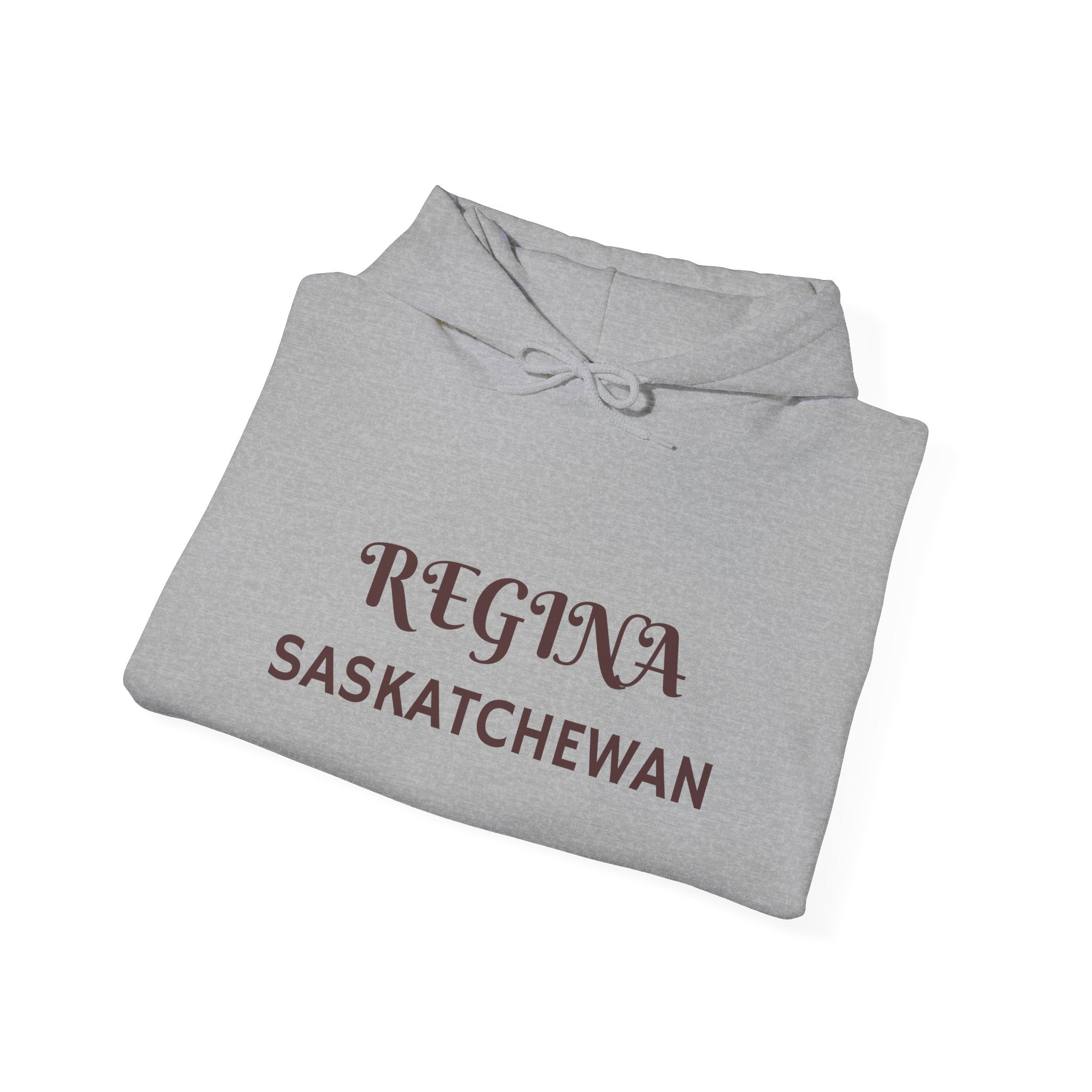 Viringee Regina Saskatchewan Unisex Heavy Blend Hoodie