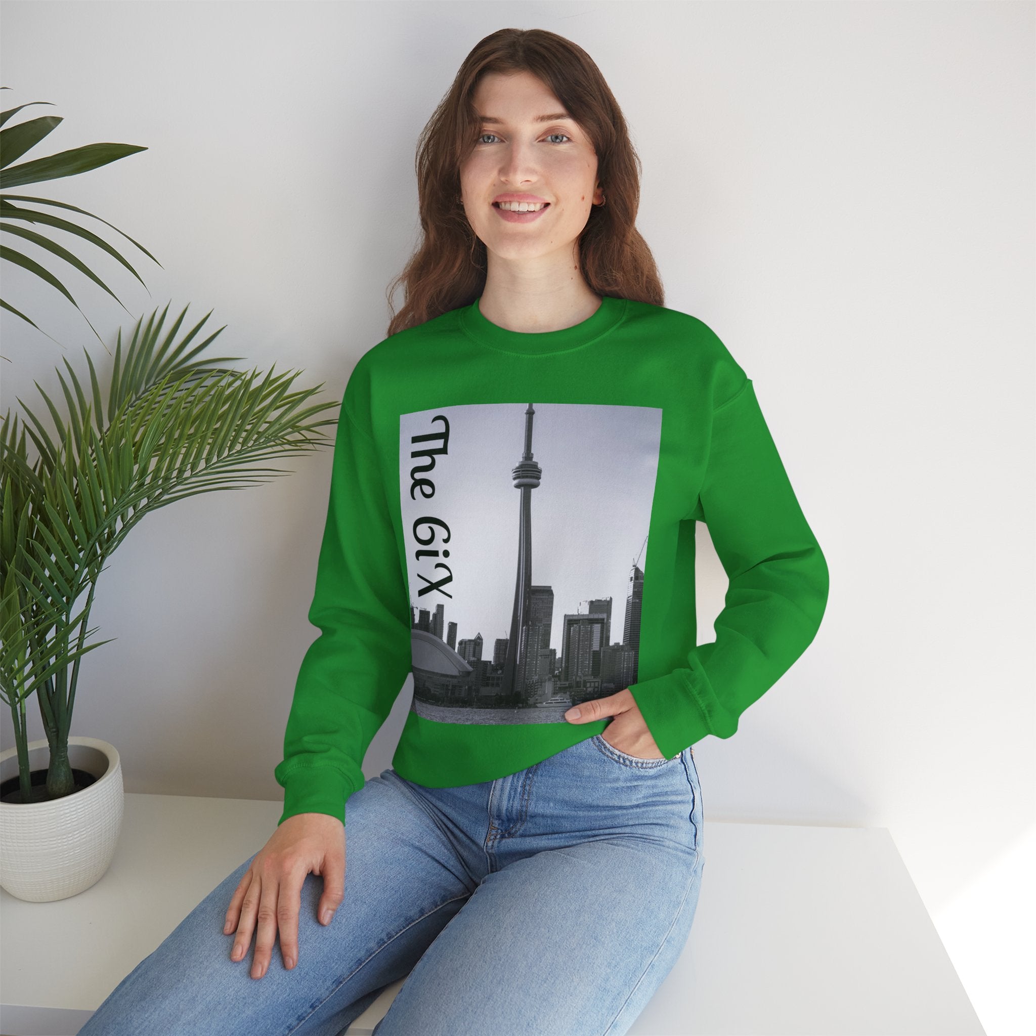 Viringee Toronto Skyline Unisex Sweatshirt