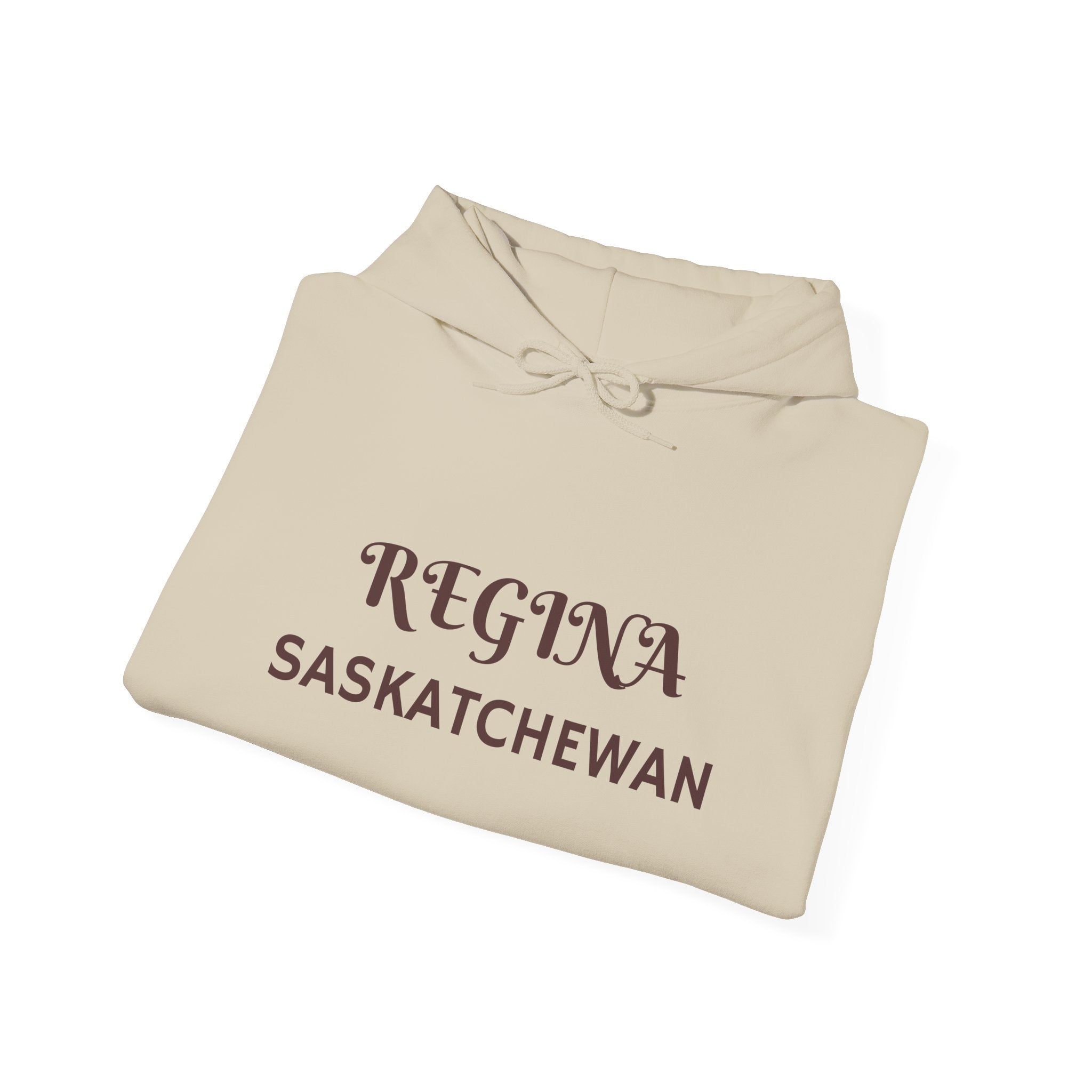 Viringee Regina Saskatchewan Unisex Heavy Blend Hoodie