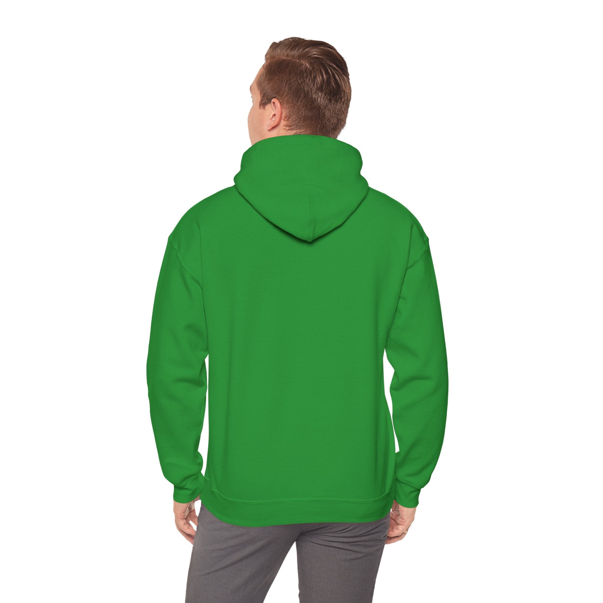 Viringee Toronto T.O. Urban Skyline Unisex Hoodie