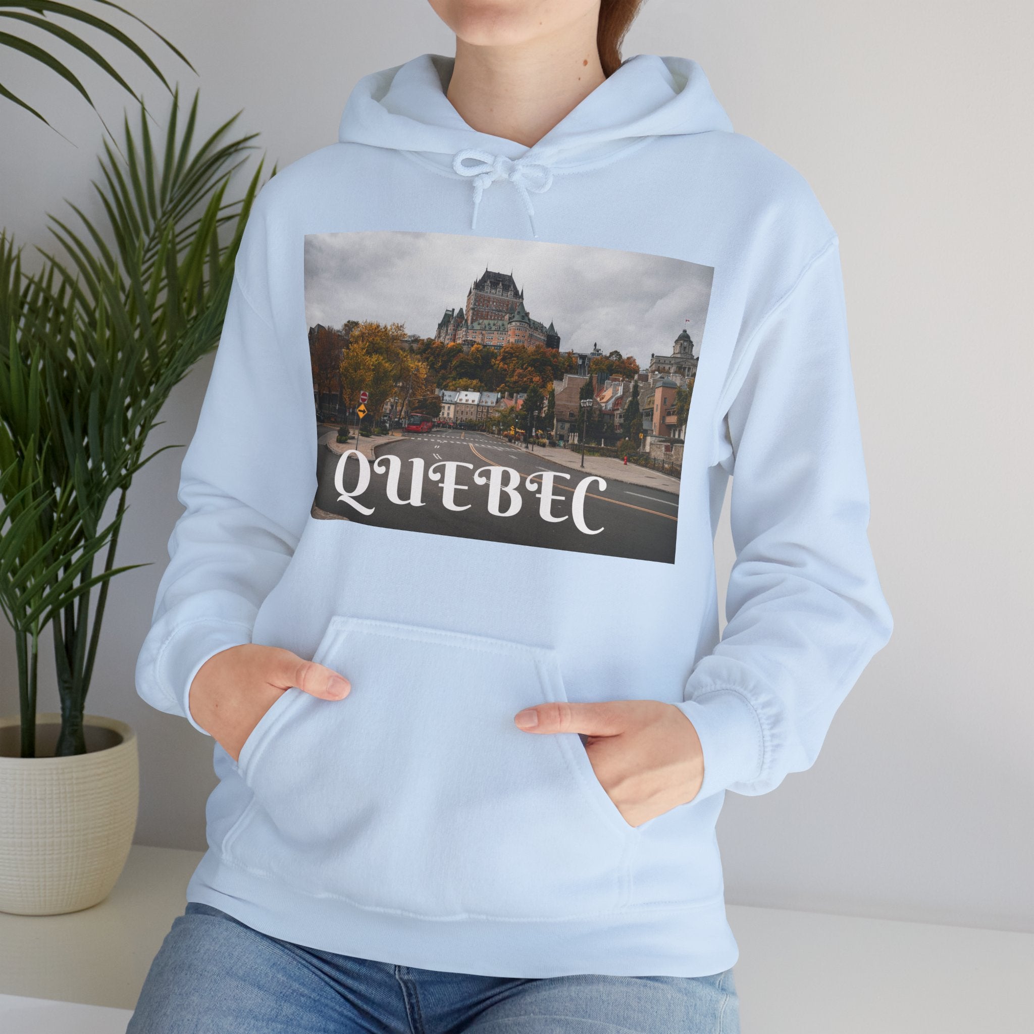 Viringee Quebec Architecture Unisex Hoodie / Hoodie Unisexe Viringee Architecture du Québec