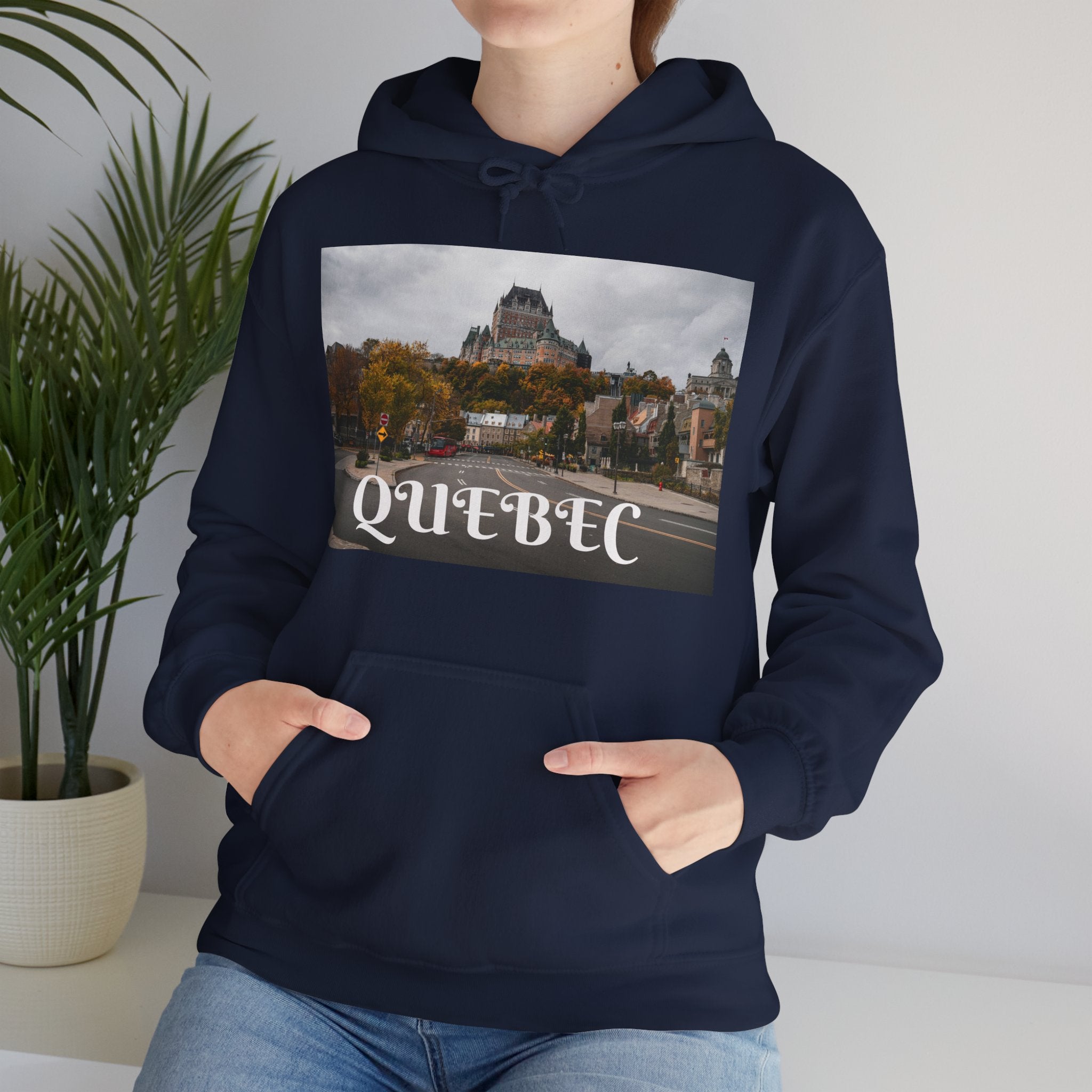 Viringee Quebec Architecture Unisex Hoodie / Hoodie Unisexe Viringee Architecture du Québec