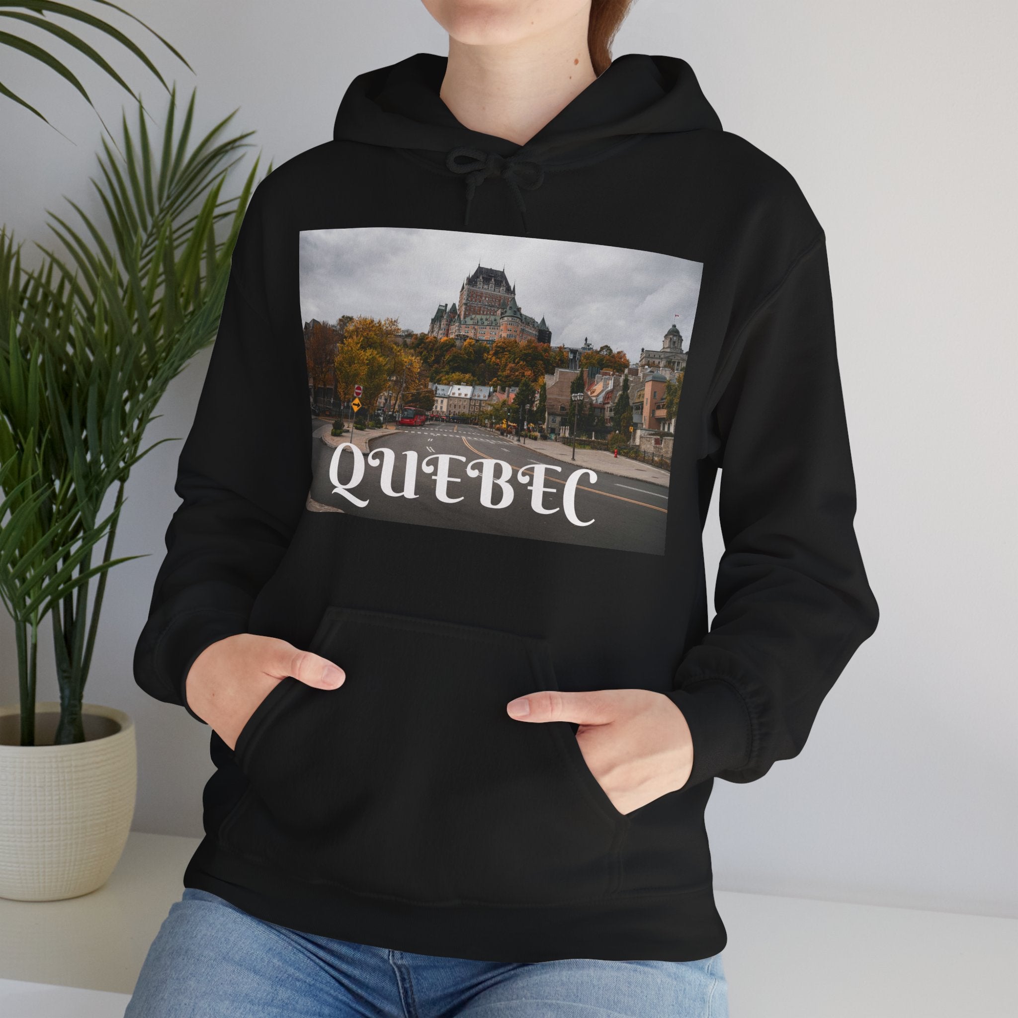 Viringee Quebec Architecture Unisex Hoodie / Hoodie Unisexe Viringee Architecture du Québec