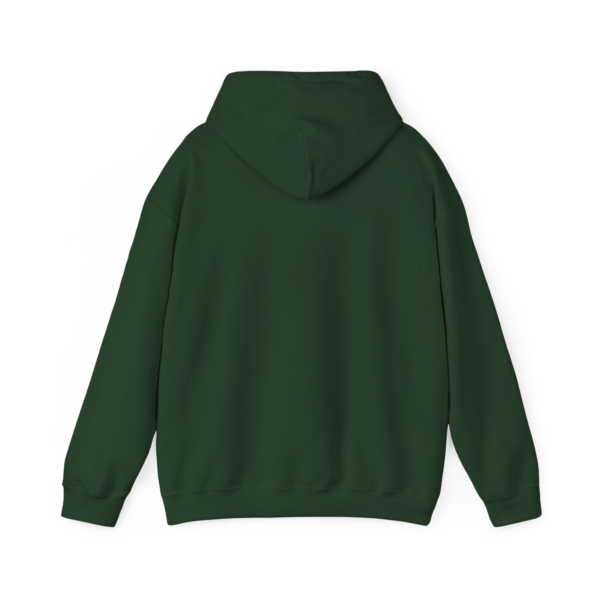 Viringee Akron Ohio Unisex Heavy Blend Hooded Sweatshirt