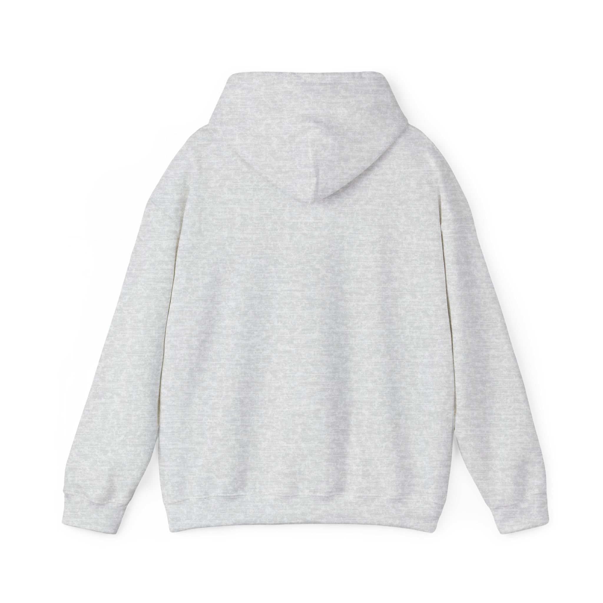 Viringee Regina Saskatchewan Unisex Heavy Blend Hoodie