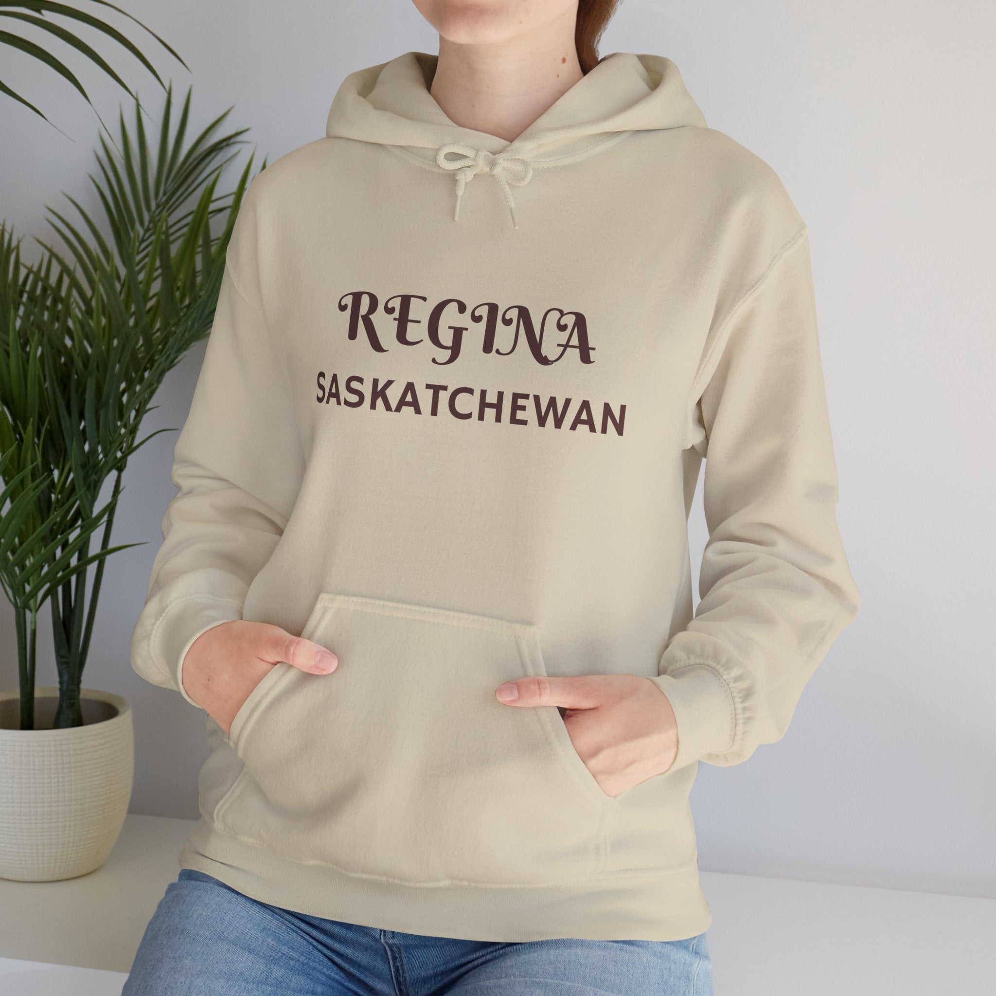 Viringee Regina Saskatchewan Unisex Heavy Blend Hoodie