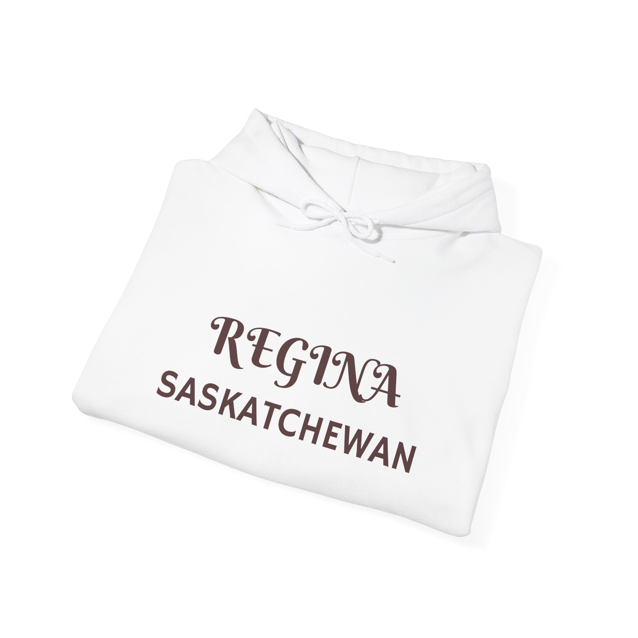 Viringee Regina Saskatchewan Unisex Heavy Blend Hoodie