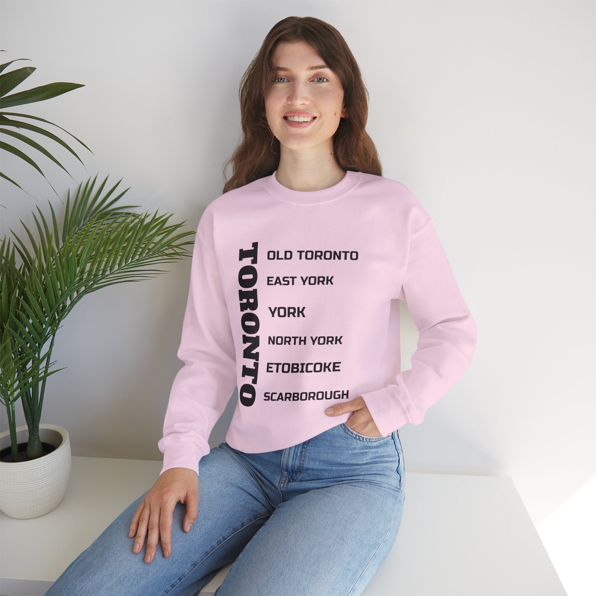 Viringee Toronto Six Boroughs Unisex Crewneck Sweatshirt