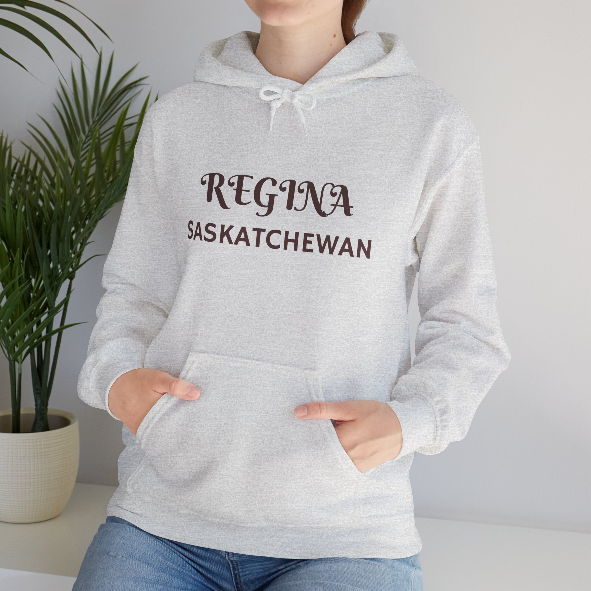 Viringee Regina Saskatchewan Unisex Heavy Blend Hoodie