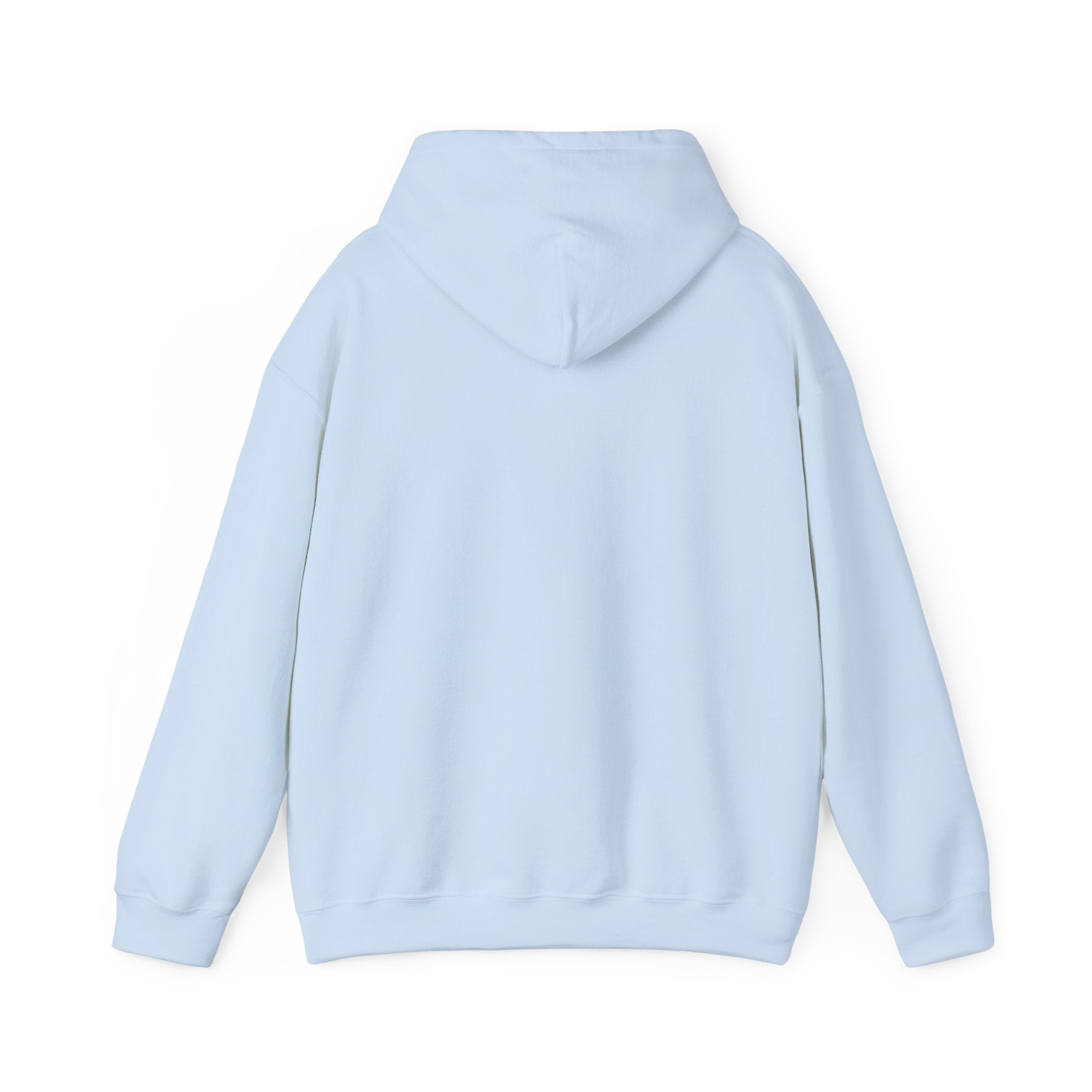 Viringee Quebec Architecture Unisex Hoodie / Hoodie Unisexe Viringee Architecture du Québec