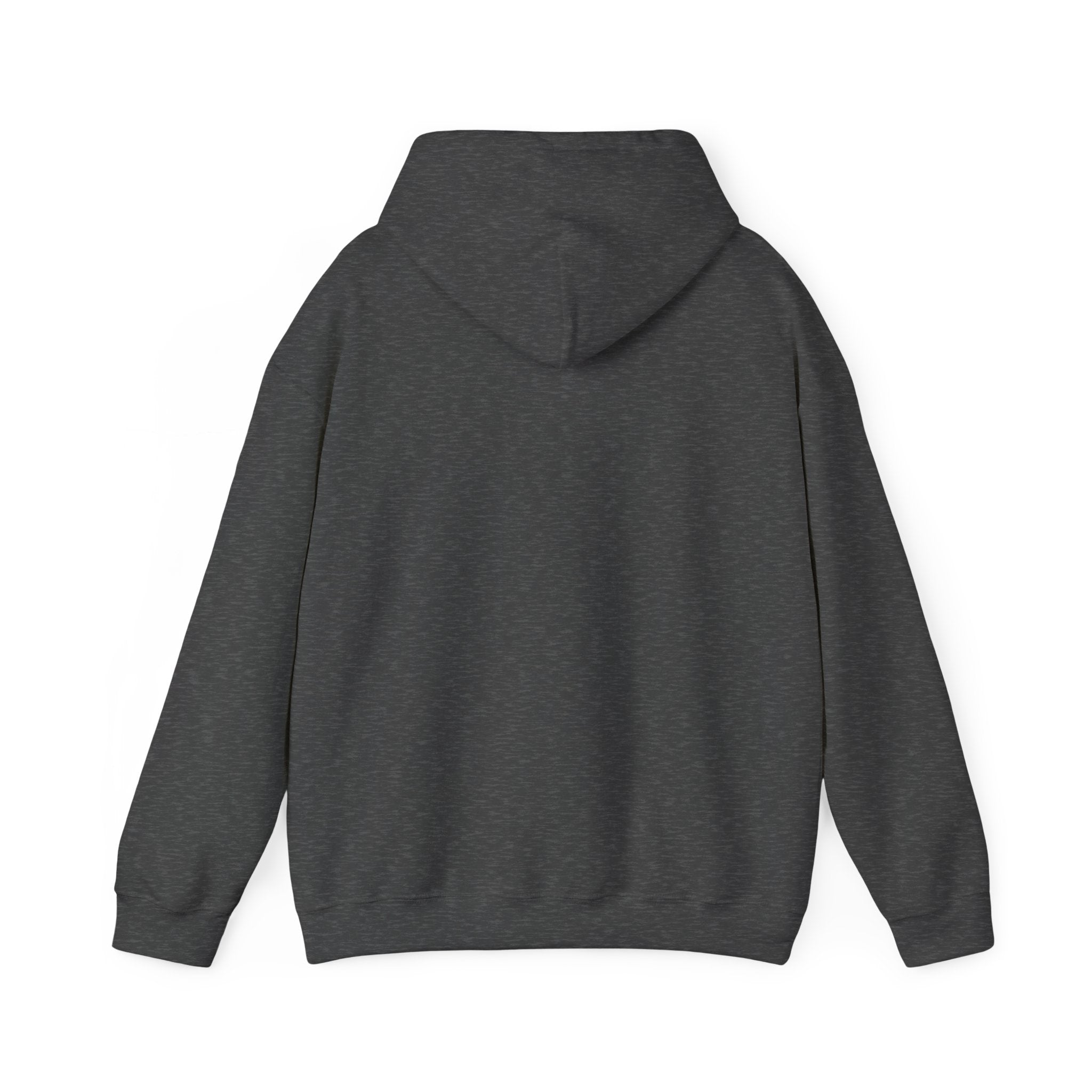 Viringee Quebec Architecture Unisex Hoodie / Hoodie Unisexe Viringee Architecture du Québec