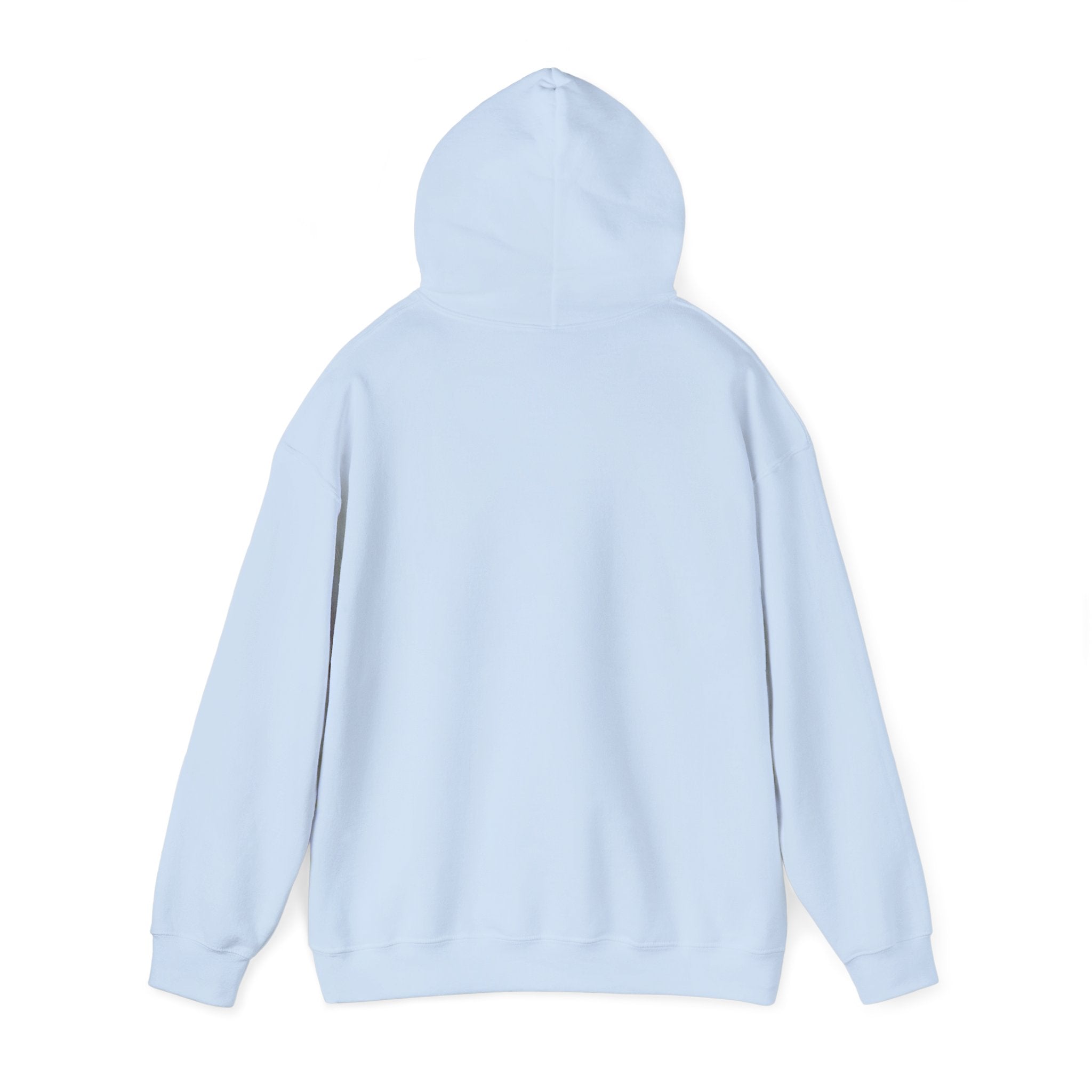 Viringee Quebec Architecture Unisex Hoodie / Hoodie Unisexe Viringee Architecture du Québec