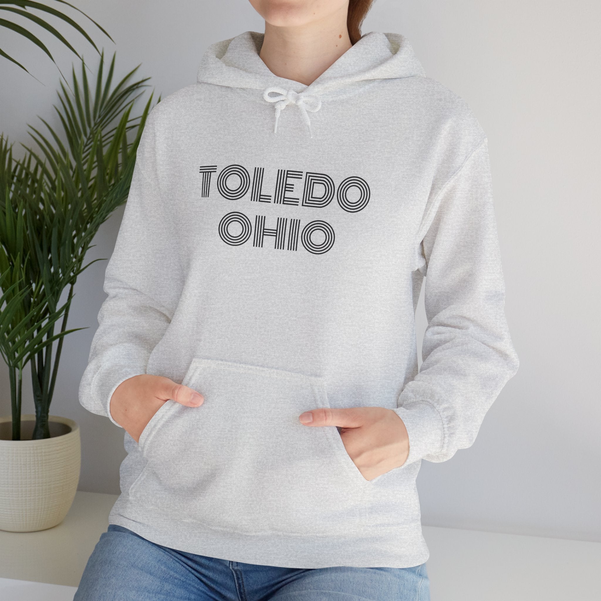 Viringee Toledo Ohio Unisex Hoodie