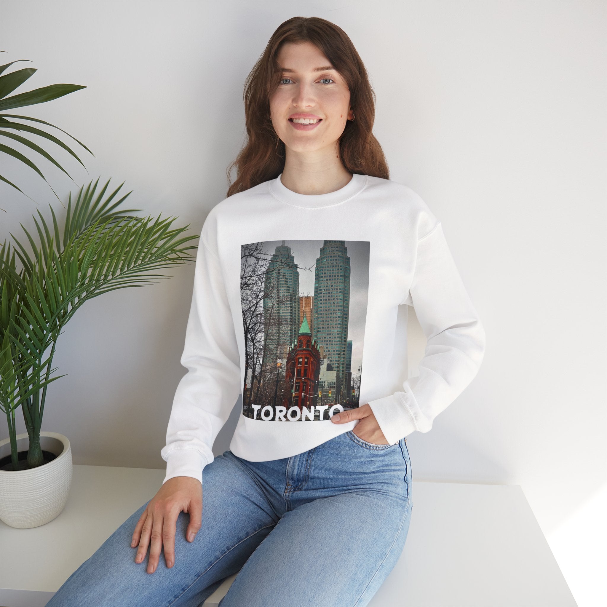 Viringee Toronto Gooderham Flatiron Building Unisex Crewneck Sweatshirt