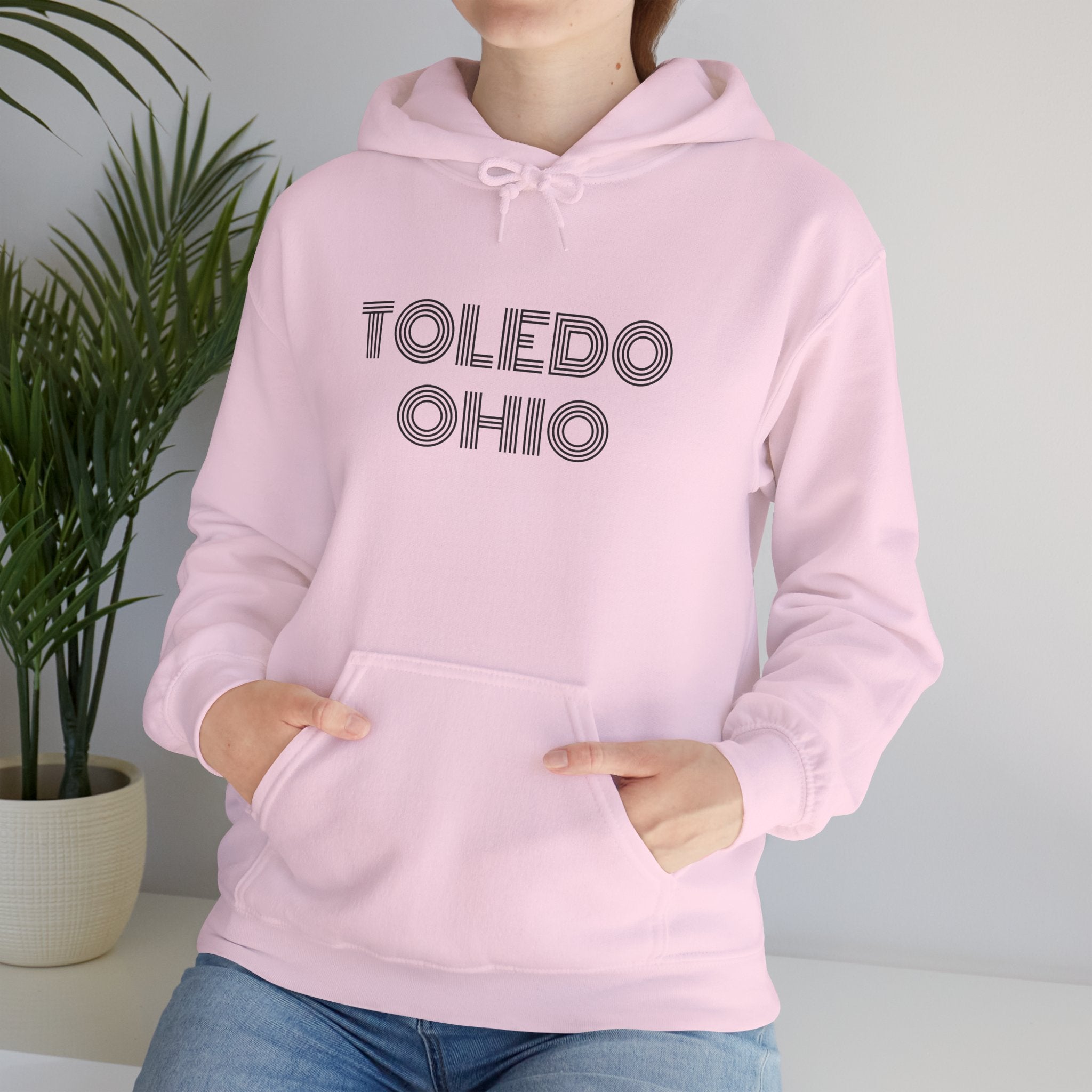 Viringee Toledo Ohio Unisex Hoodie