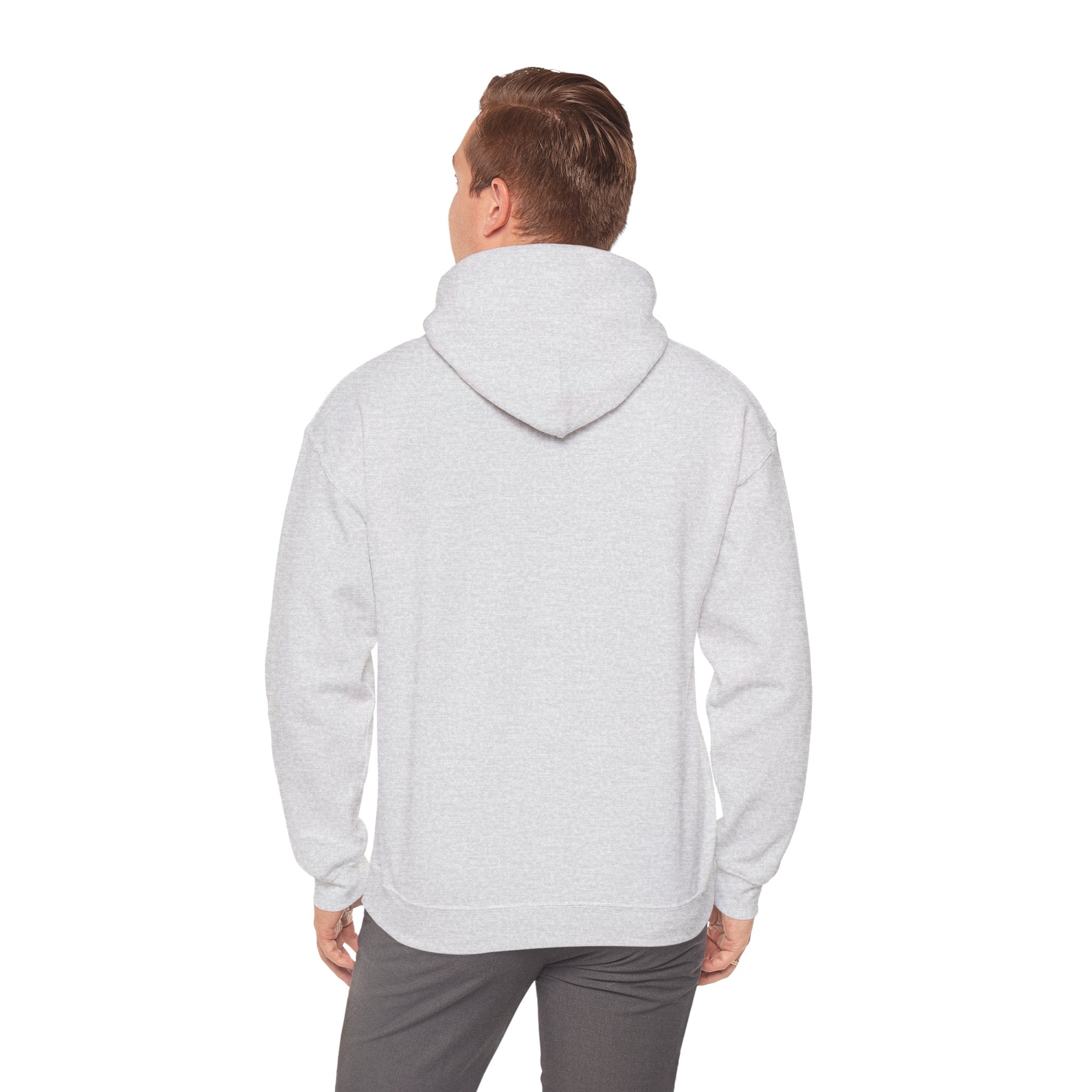 Viringee Regina Saskatchewan Unisex Heavy Blend Hoodie