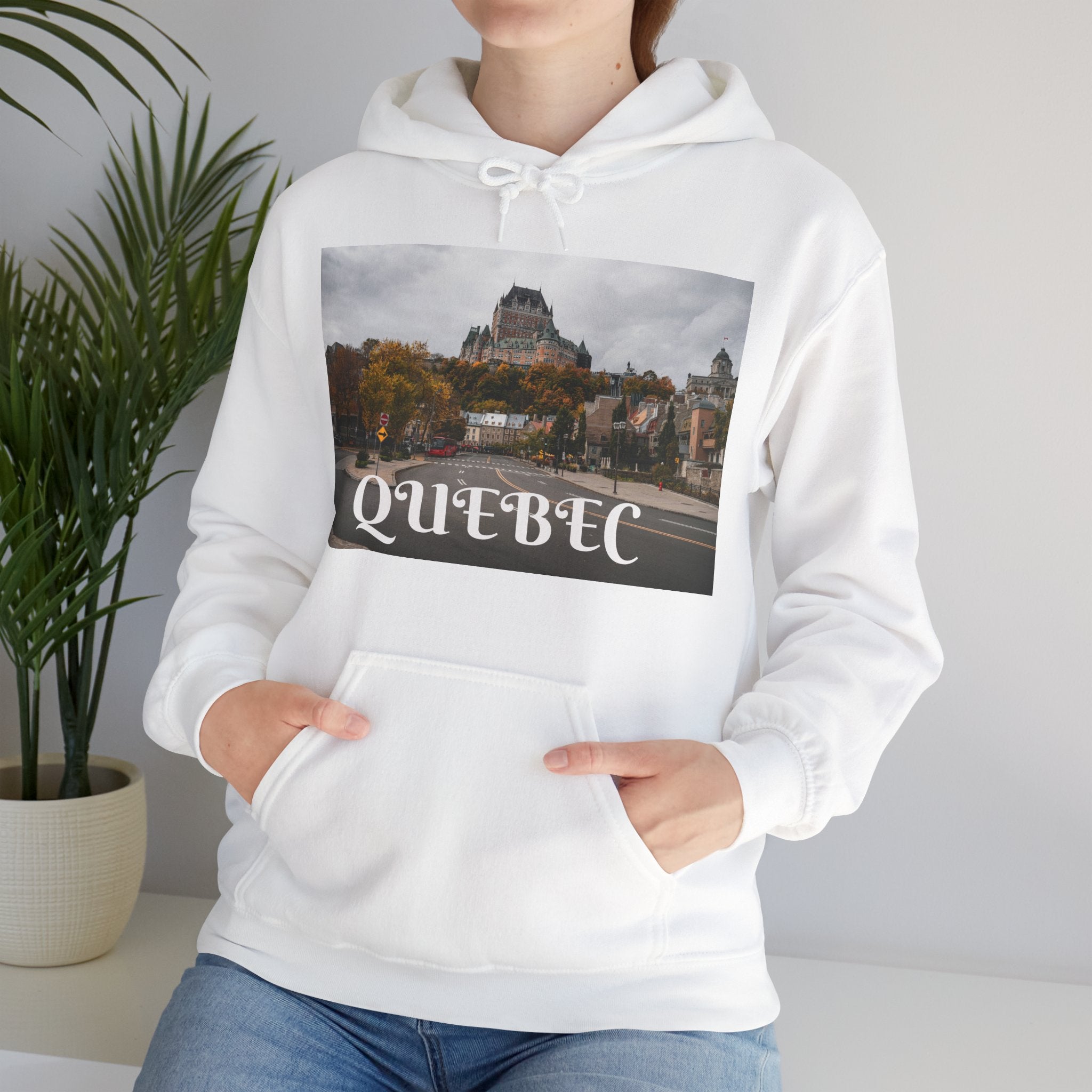 Viringee Quebec Architecture Unisex Hoodie / Hoodie Unisexe Viringee Architecture du Québec