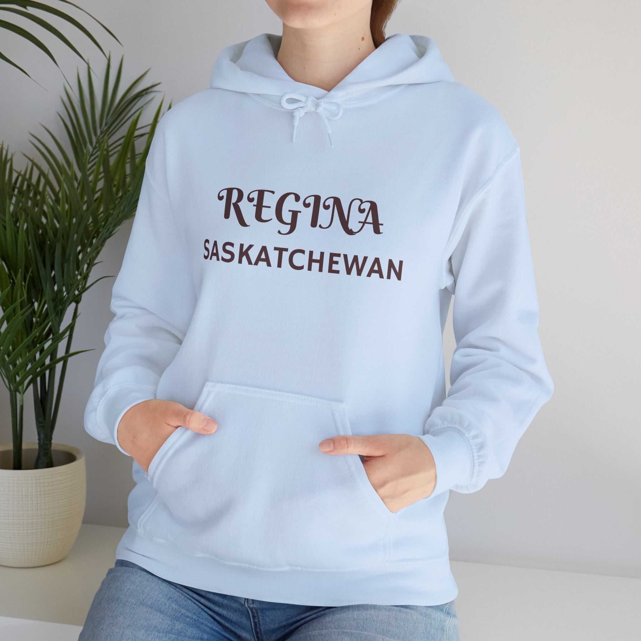 Viringee Regina Saskatchewan Unisex Heavy Blend Hoodie