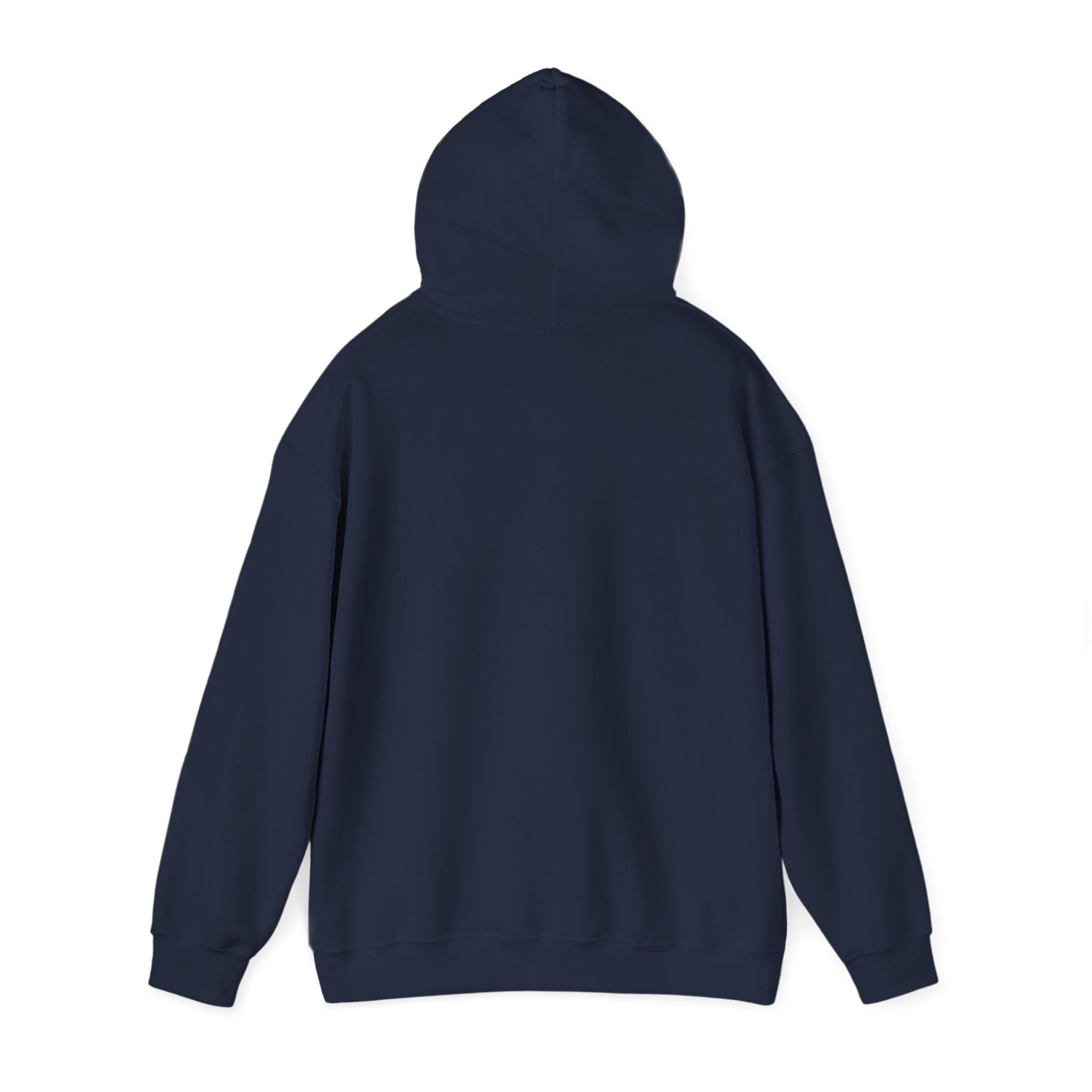 Viringee Quebec Architecture Unisex Hoodie / Hoodie Unisexe Viringee Architecture du Québec