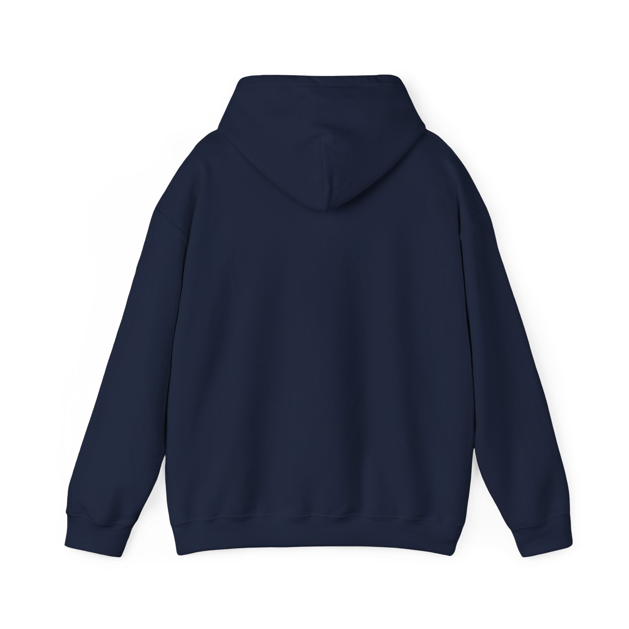 Viringee Quebec Architecture Unisex Hoodie / Hoodie Unisexe Viringee Architecture du Québec