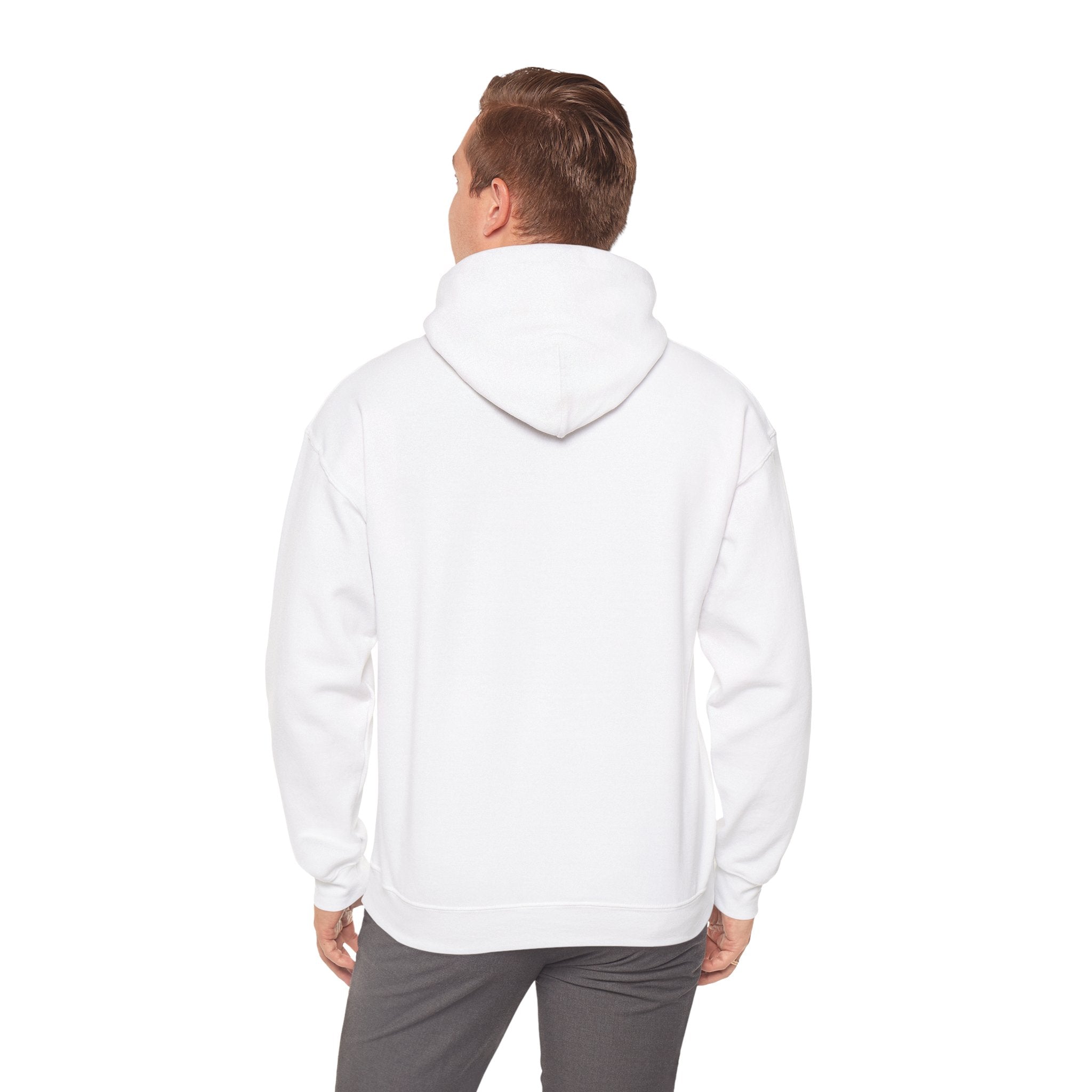 Viringee Regina Saskatchewan Unisex Heavy Blend Hoodie