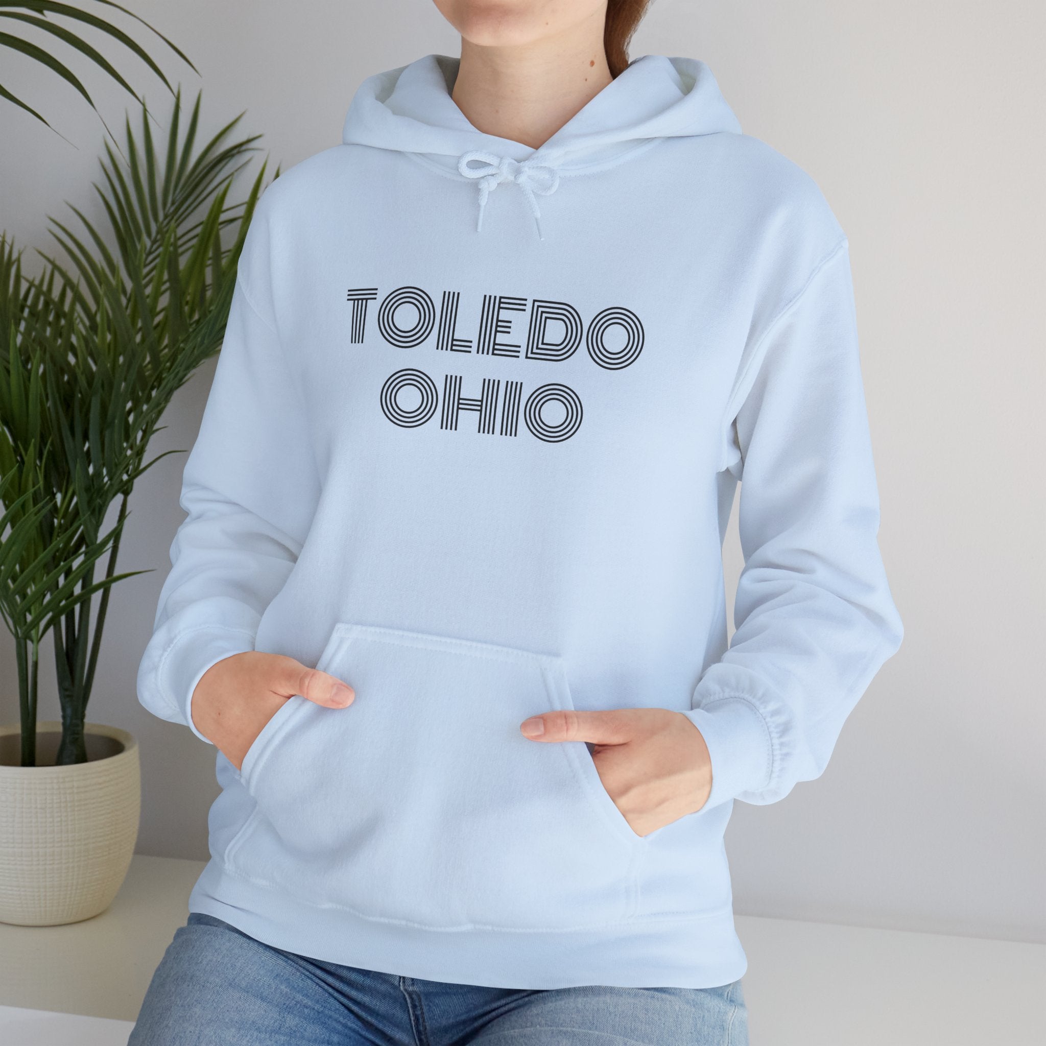 Viringee Toledo Ohio hoodie in classic fit with kangaroo pocket and drawstring hood