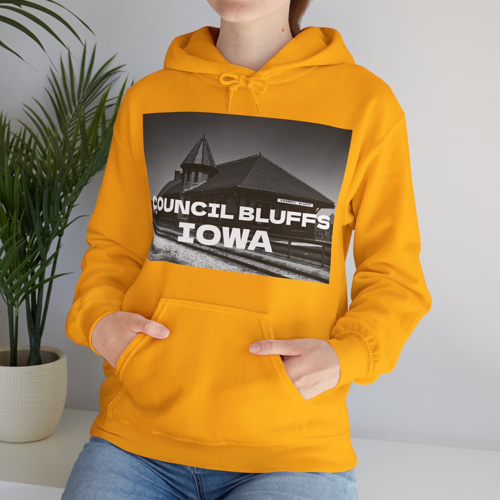 Viringee Council Bluffs Iowa Unisex Hoodie