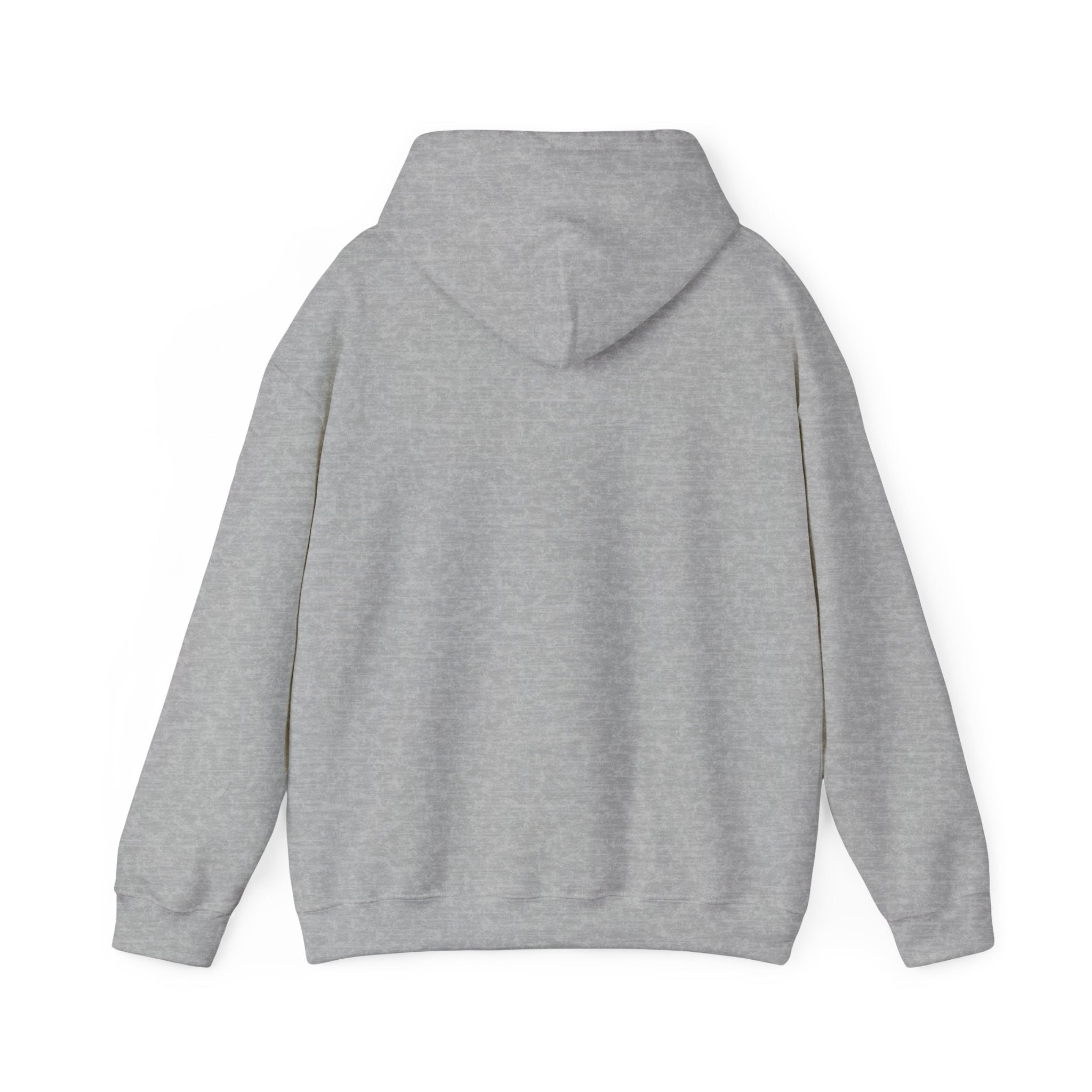 Viringee LA Venice Beach Unisex Hoodie