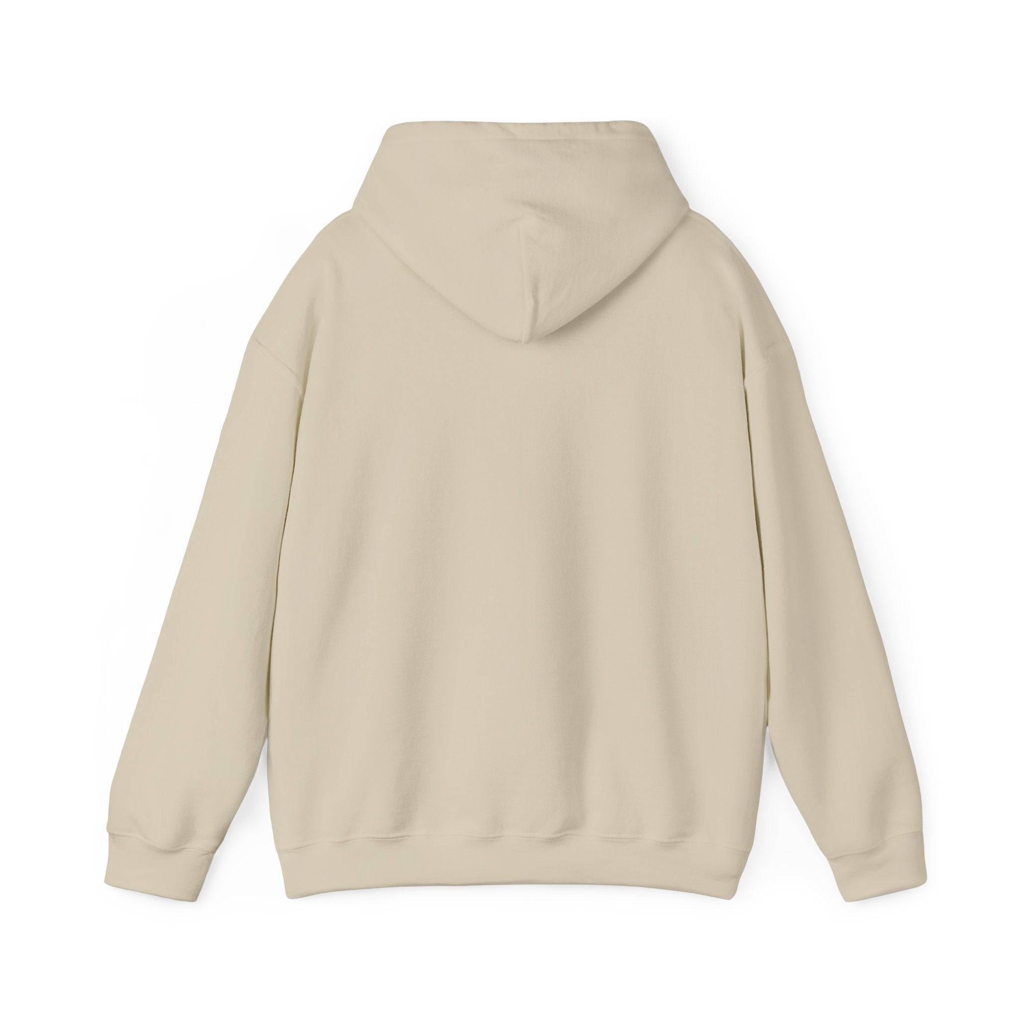 Viringee Regina Saskatchewan Unisex Heavy Blend Hoodie
