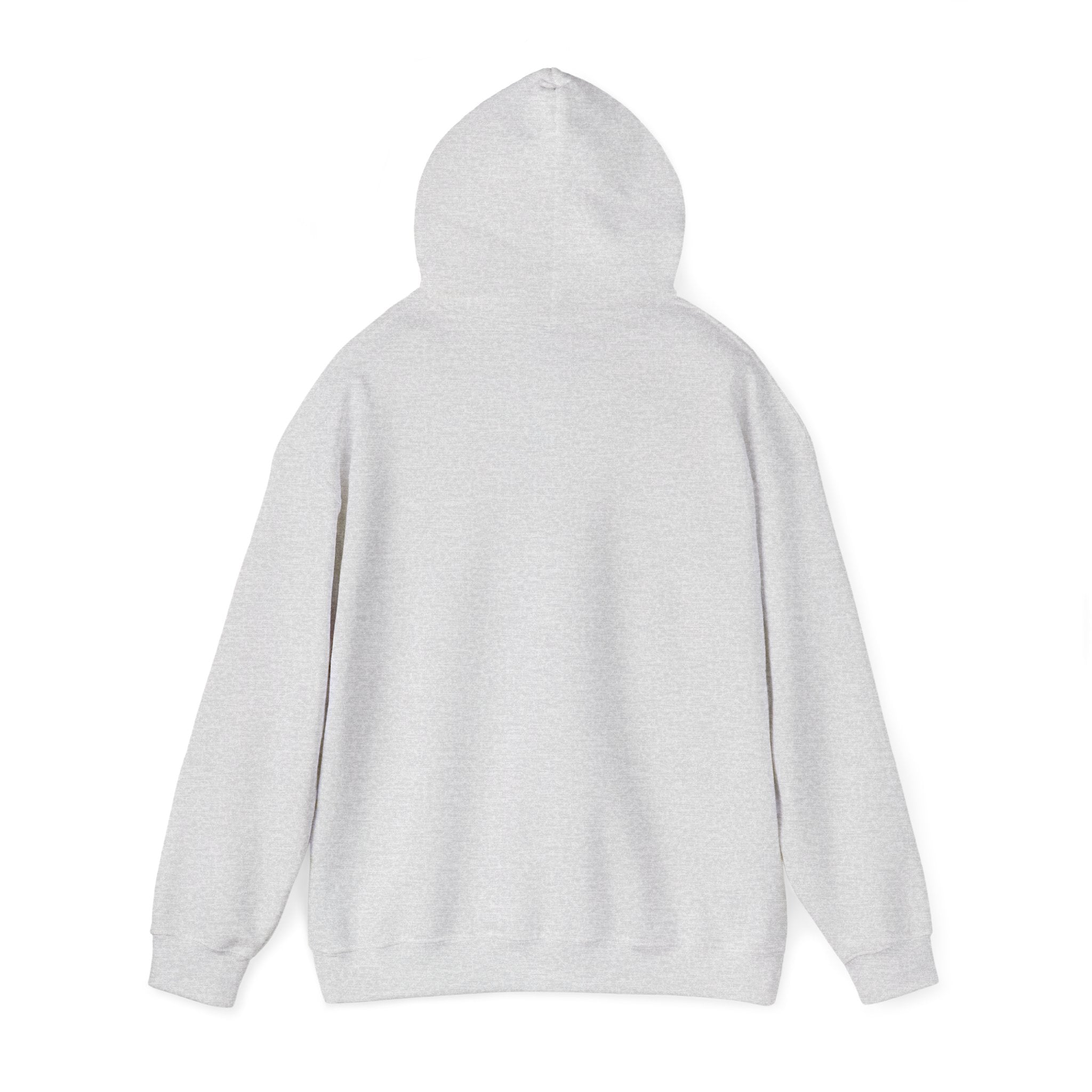 Viringee Toronto Skyline Unisex Hoodie