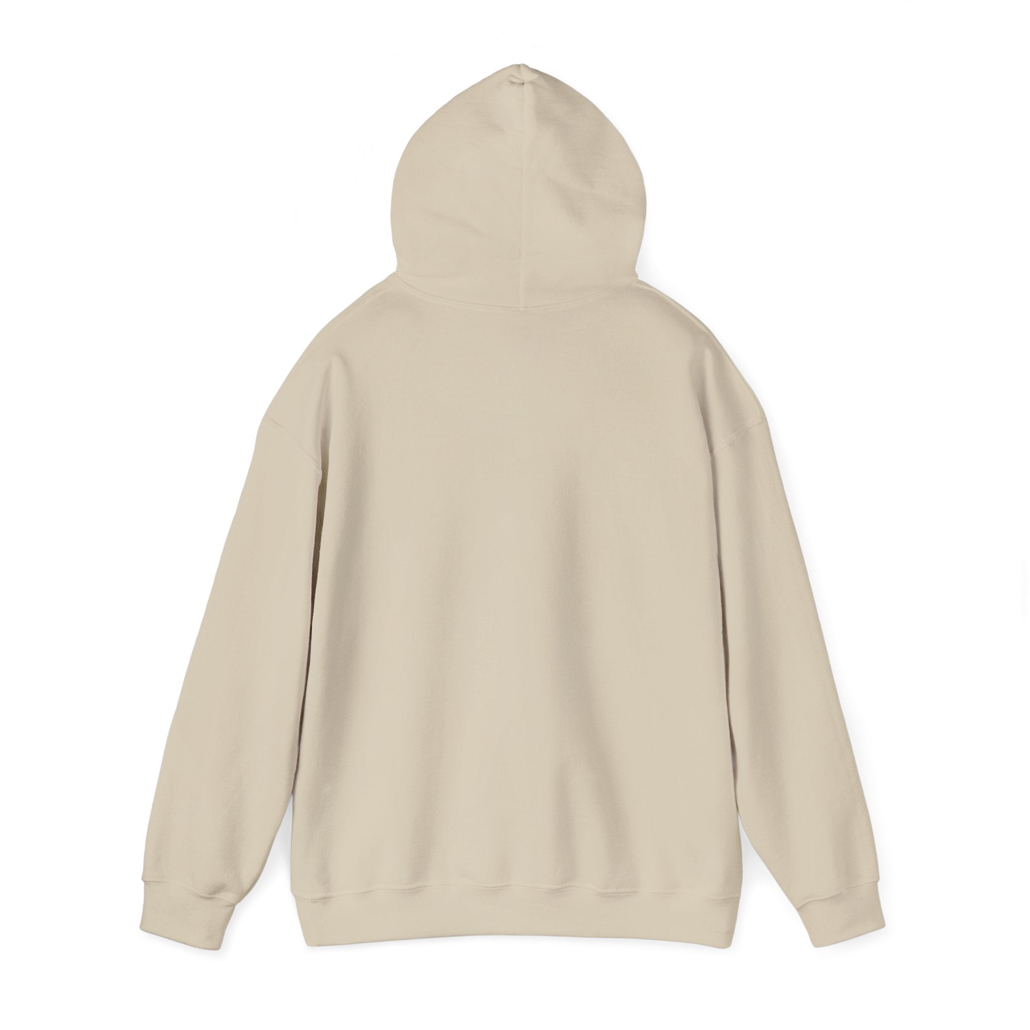 Viringee Regina Saskatchewan Unisex Heavy Blend Hoodie